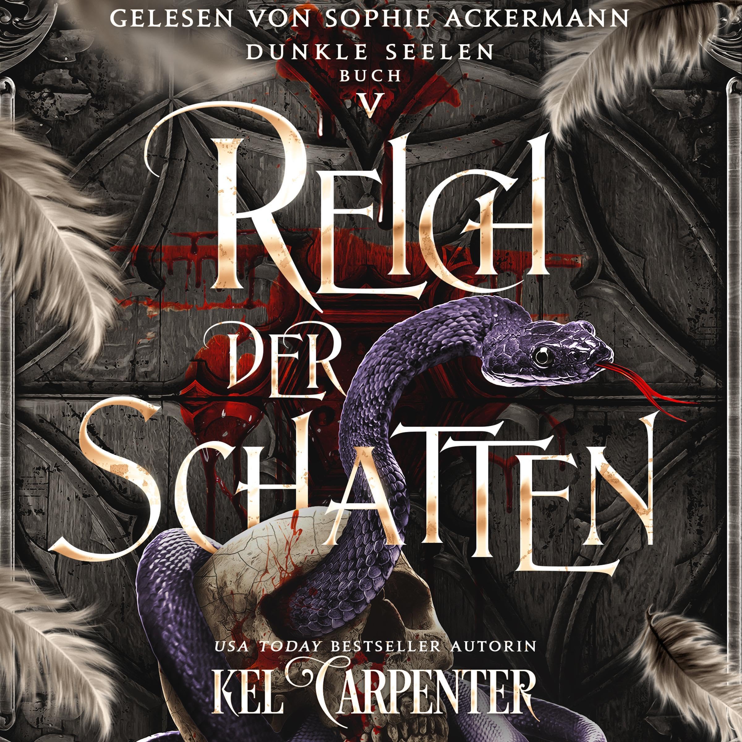 Cover art for Reich der Schatten