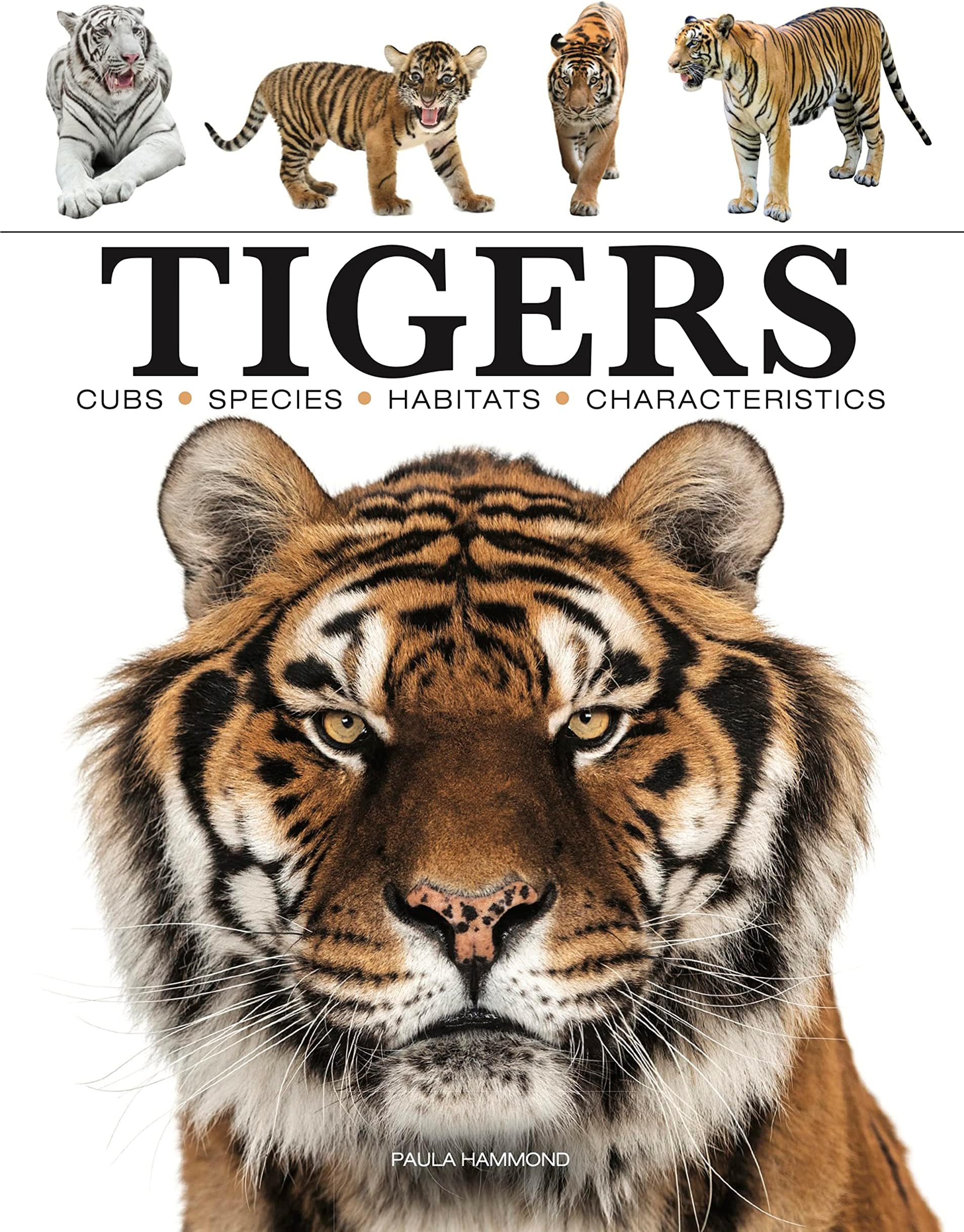 Tigers