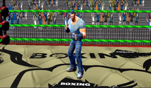 Ring Boxing Game - Street Hero Fighting Vice Town Game