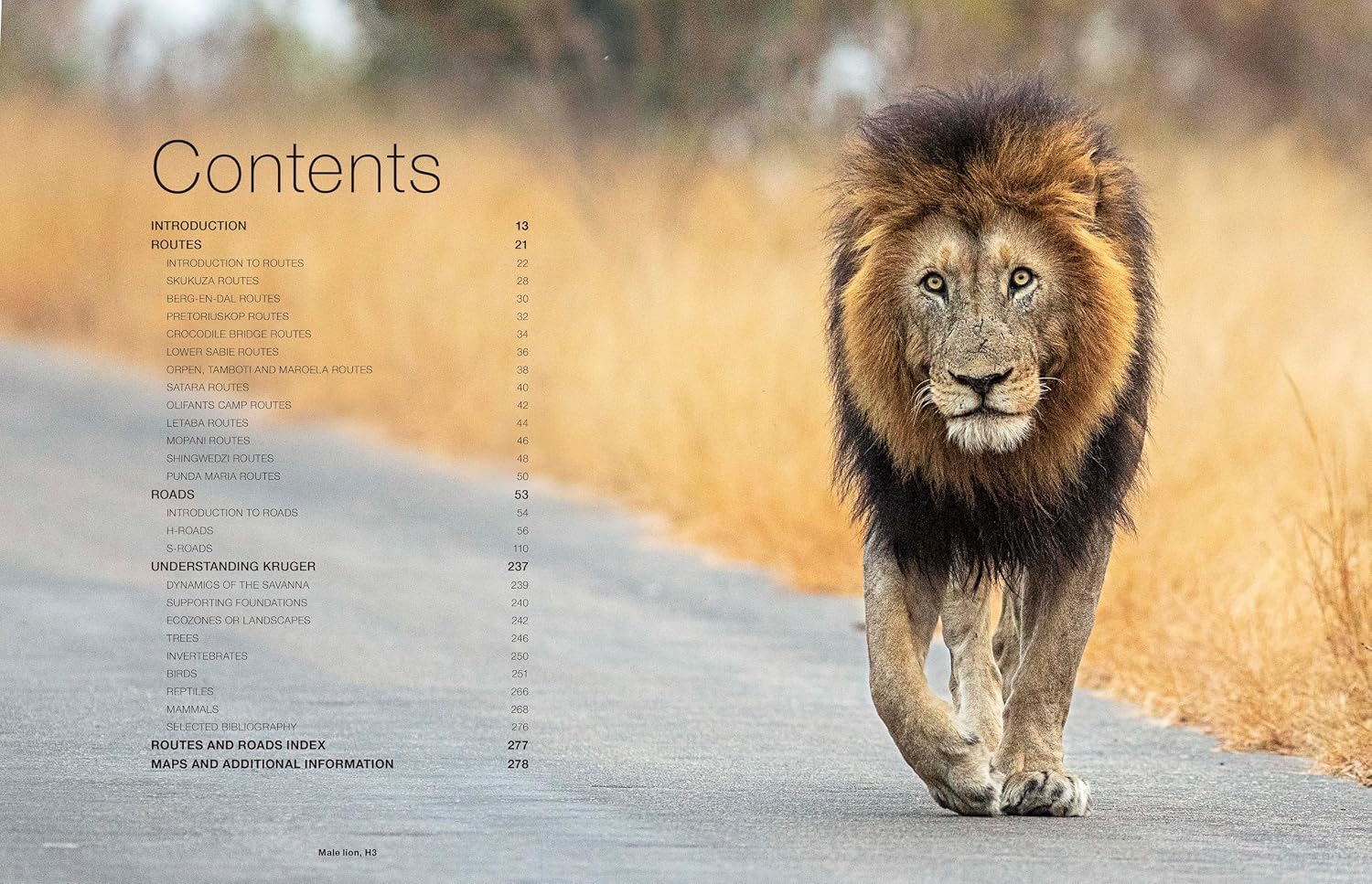 Kruger Self-Drive: Second Edition: Routes, Roads & Ratings