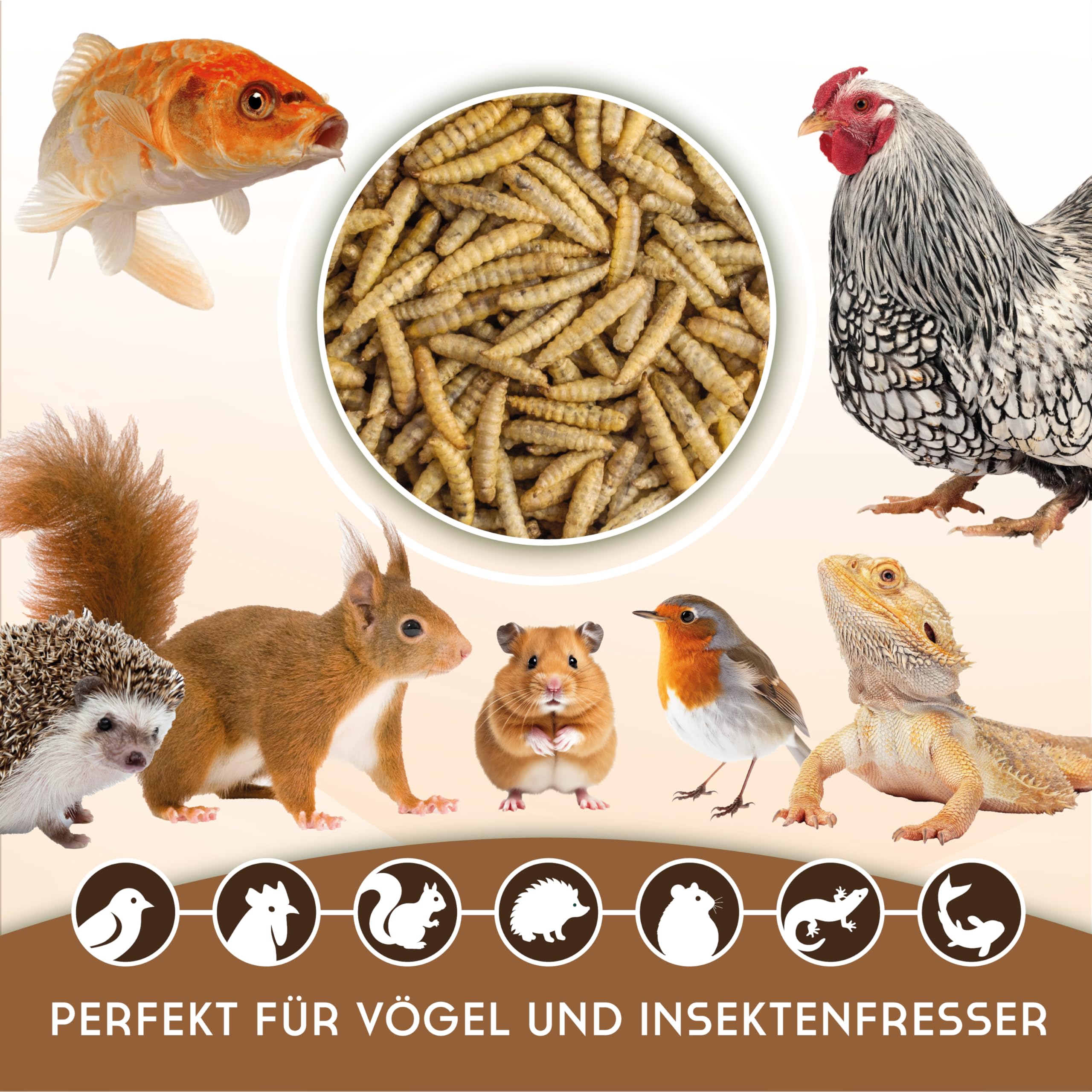 Koi-Herdecke getrocknete Soldatenfliegenlarven 5kg, Black Soldier Fly - wie Mehlwürmer, Reich an Proteinen und Nährstoffen, Naturfutter für Vögel, Fische, Nager und Reptilien