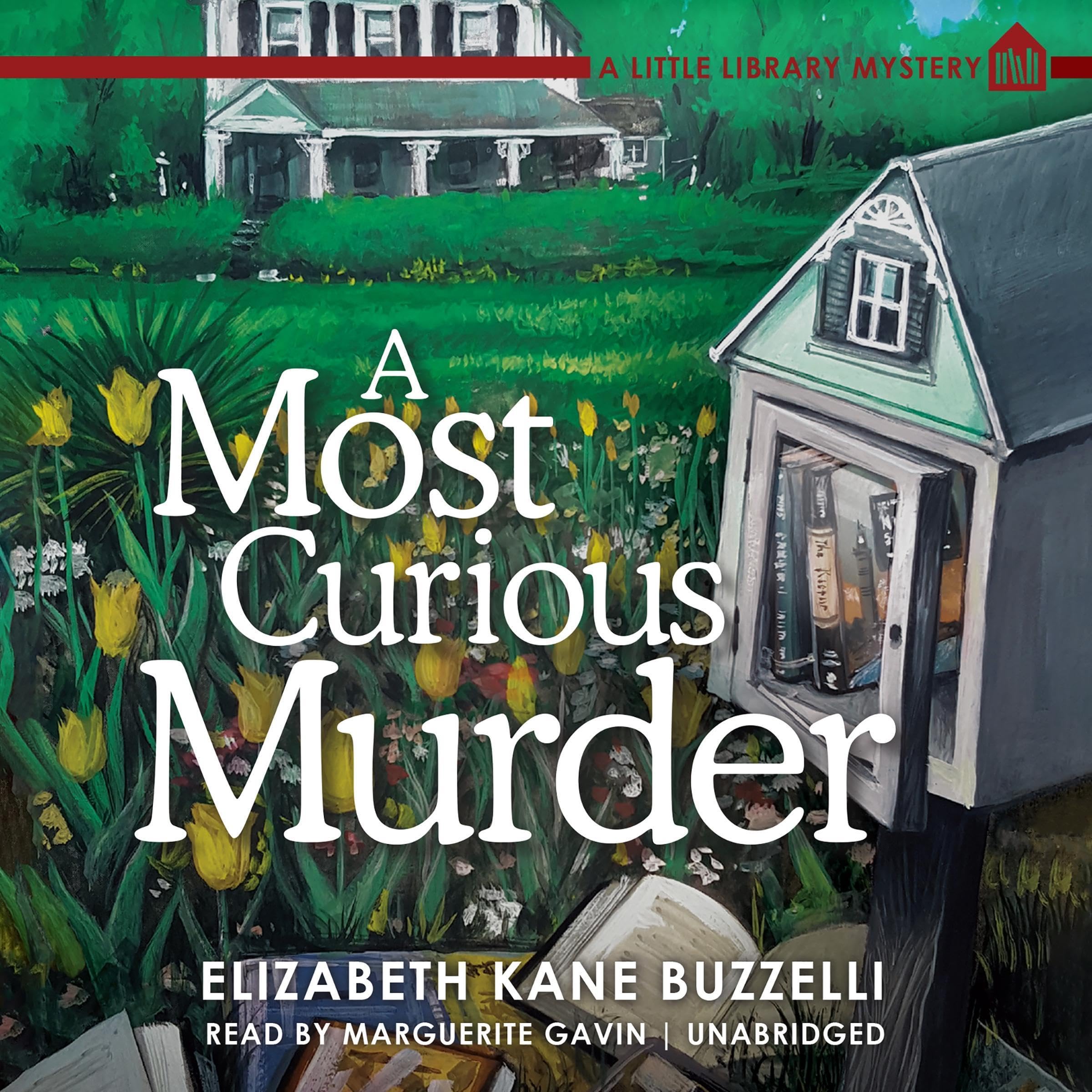Cover art for A Most Curious Murder