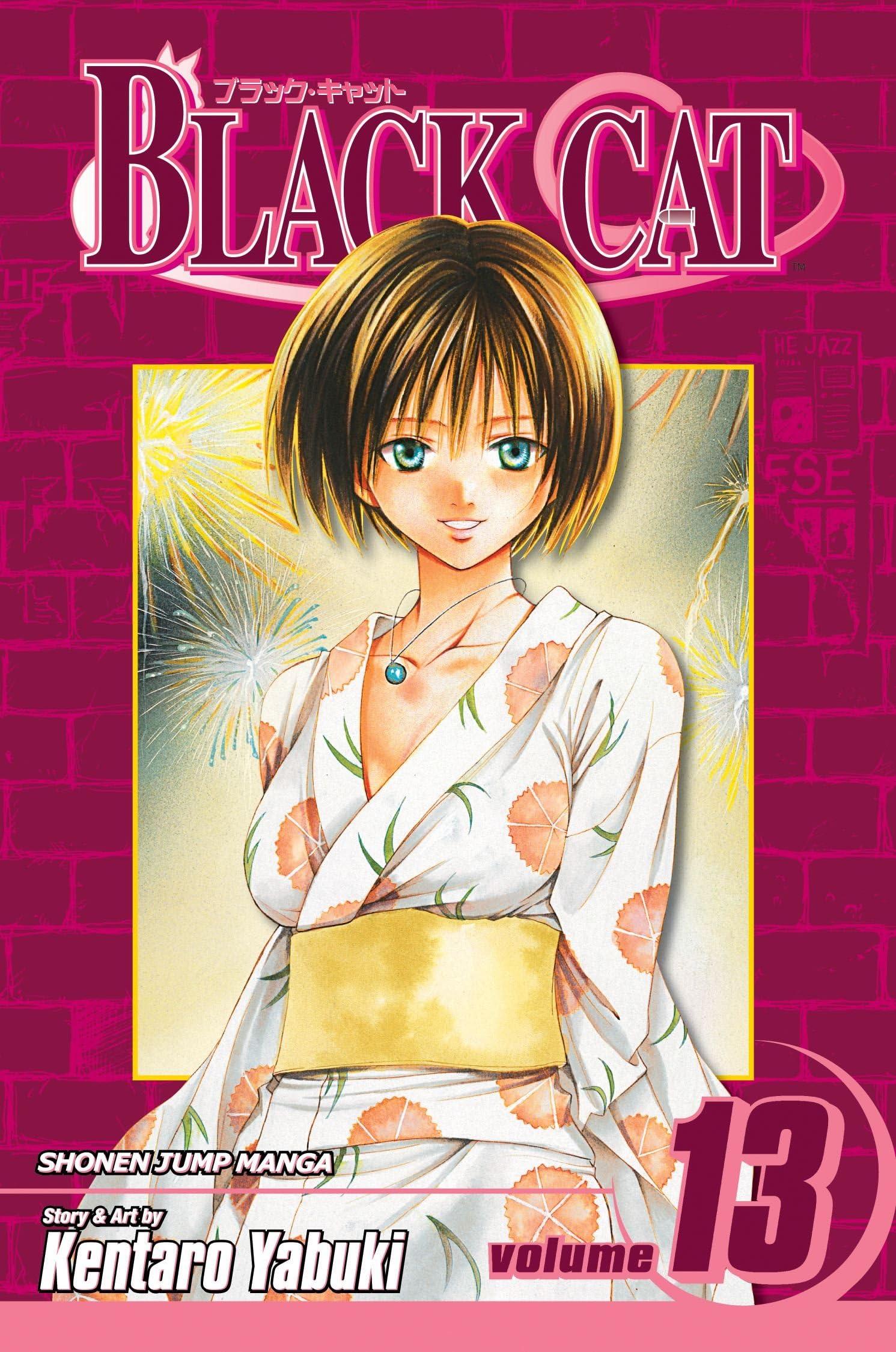 Black Cat, Vol. 13: Dear Friend