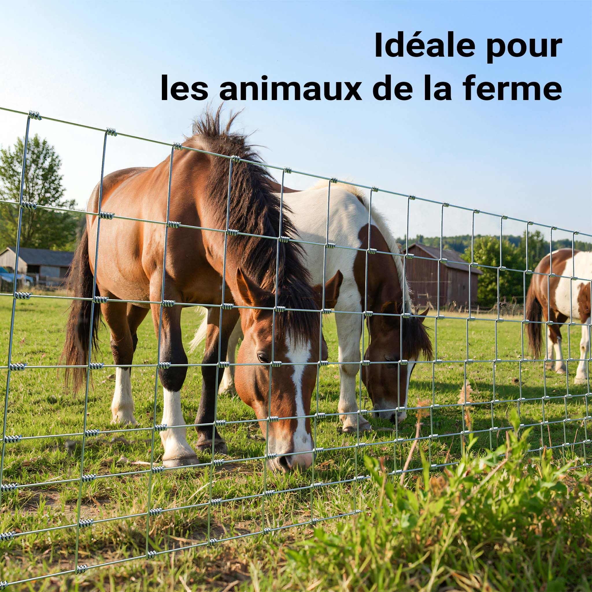 Wiltec Grillage contre gibier - 50 m x 100 cm - Clôture en fil de fer 100/08/15 - Grillage noué Agricole Sylvicole Jardin Agriculture Sylviculture Potager Viticulture