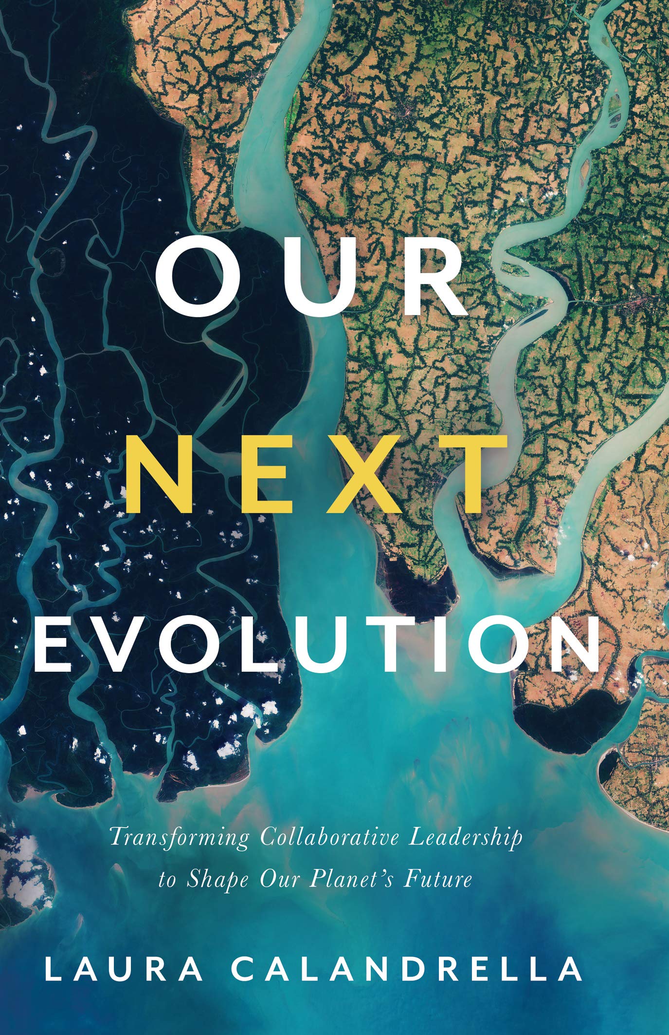 Our Next Evolution: Transforming Collaborative Leadership to Shape Our Planet's Future