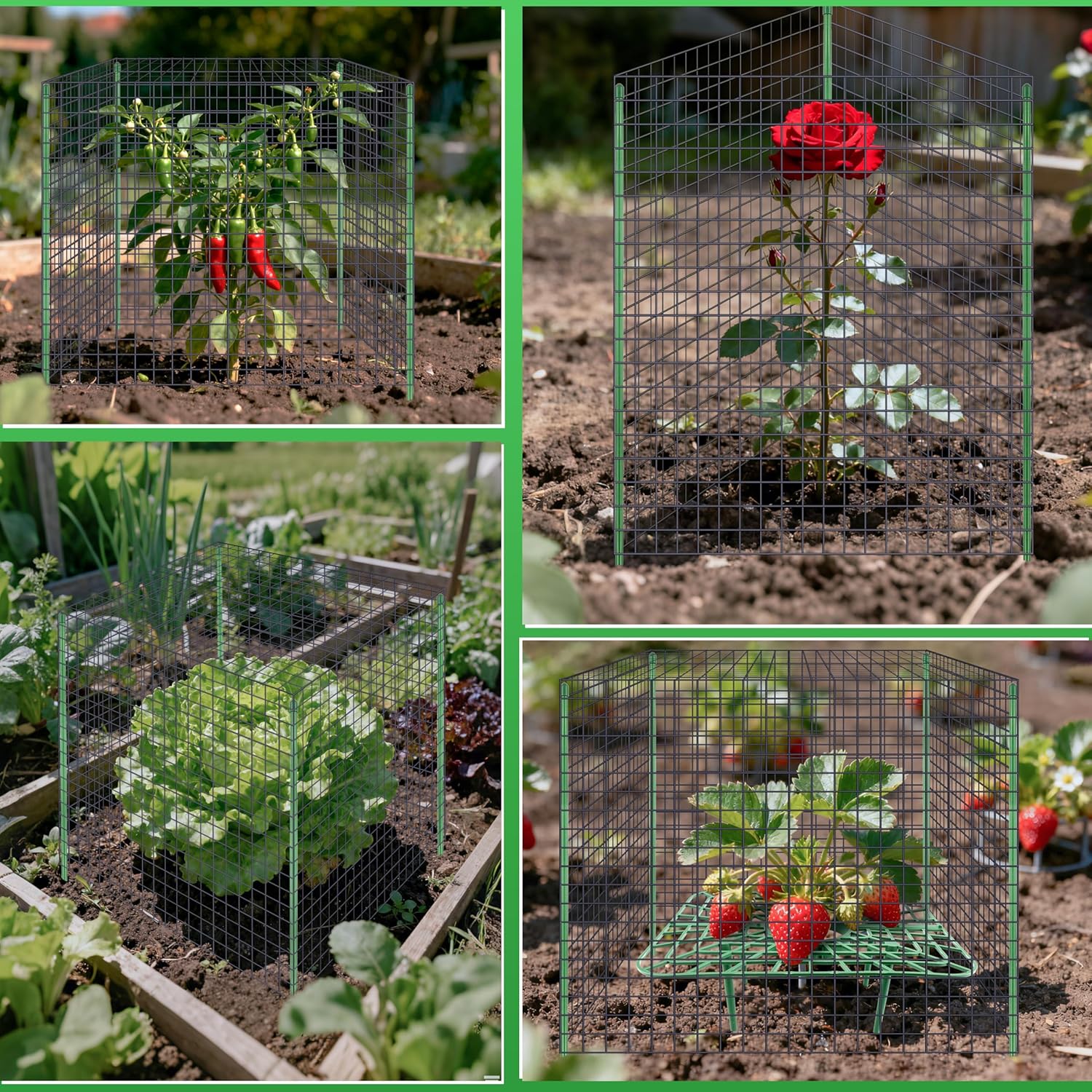 Fayoo 4 Pack Strawberry Supports with Plant Protectors from Animals, 20 Pcs Wire Plant Cage 12x12Inch Mesh Plant Cover with Iron Plant Nails, Organza Bags for Garden Strawberry Vegetables