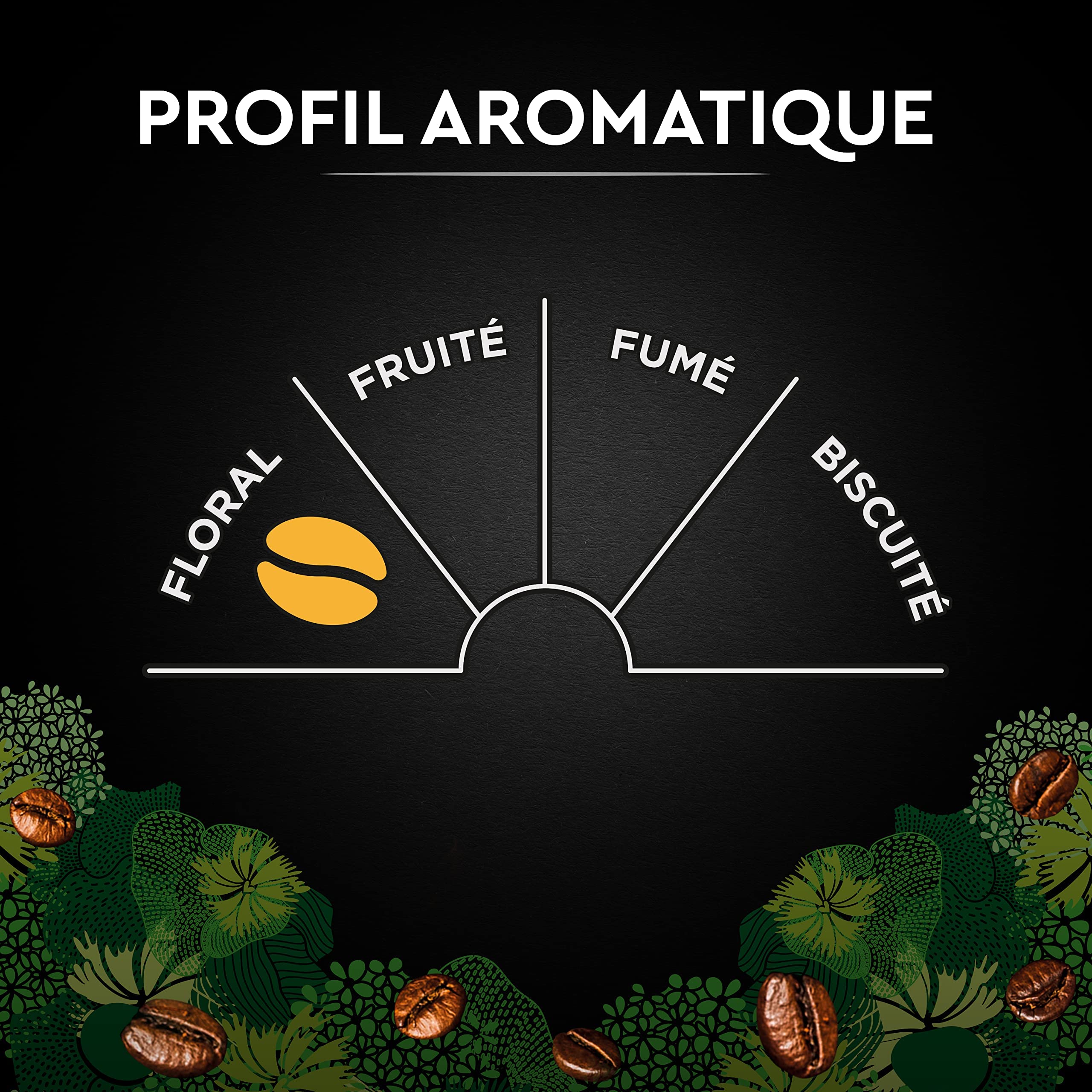 CARTE NOIRE - Café Grain Bio - 100 % Arabica - Origine Amérique Latine - Paquet de 1 kg - Fabriqué en France