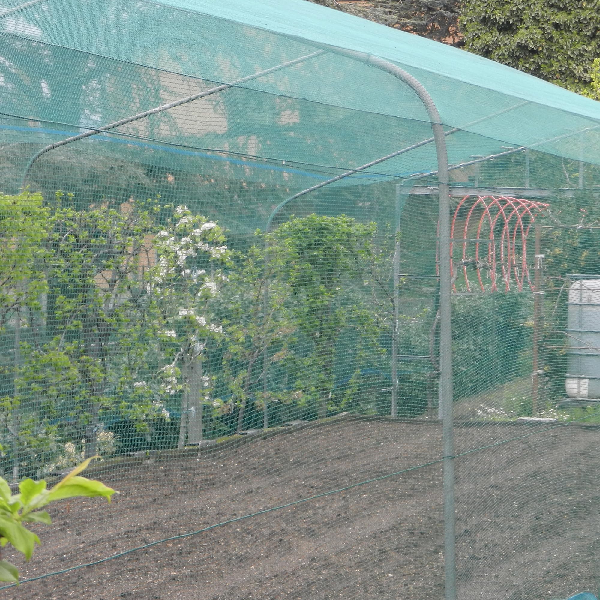 TENAX Defender Plus 2,00 x 100 m Verde, Rete Antigrandine Tessuta a Doppio Filo, Protezione Colture e Frutti da Grandine e Volatili