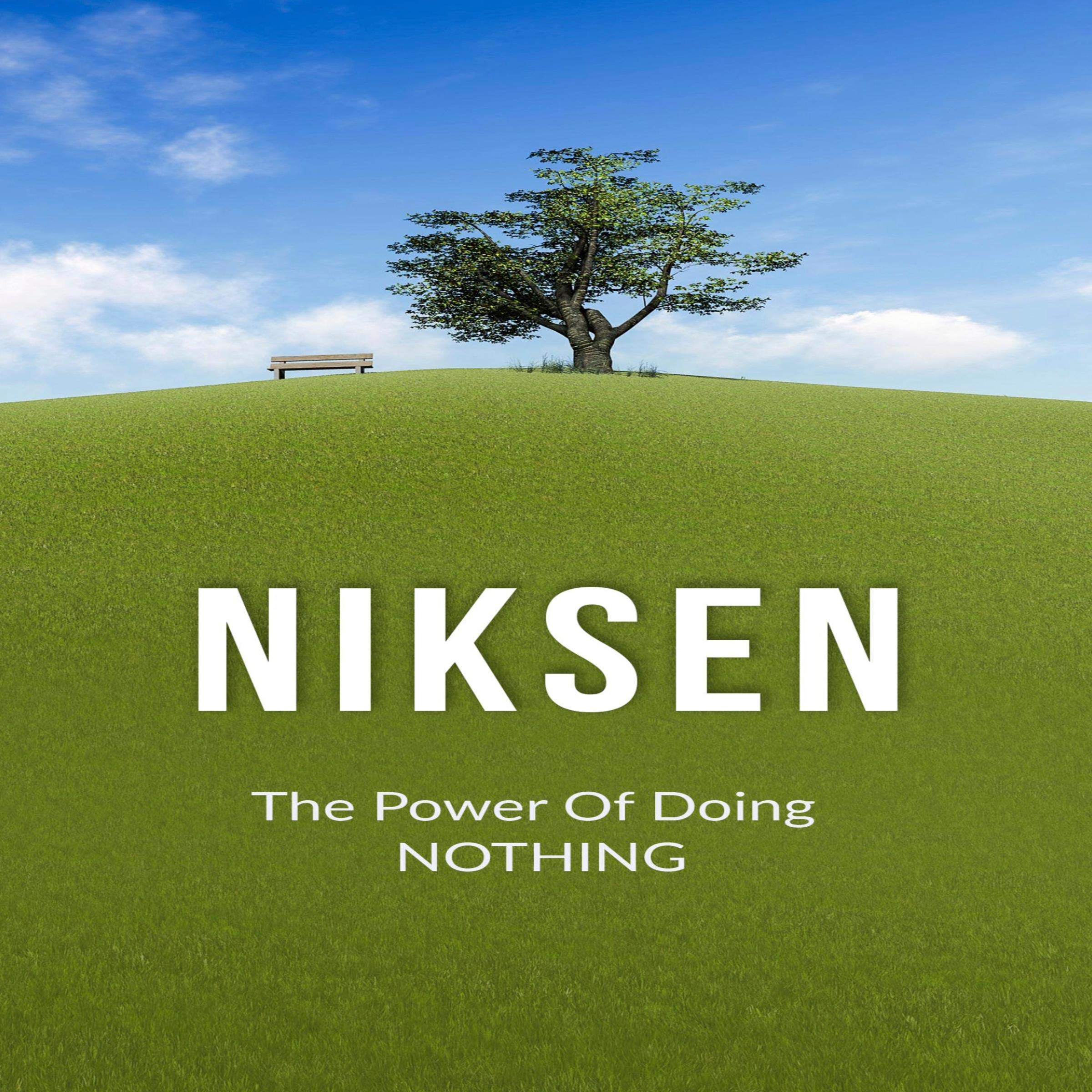 Cover art for Niksen