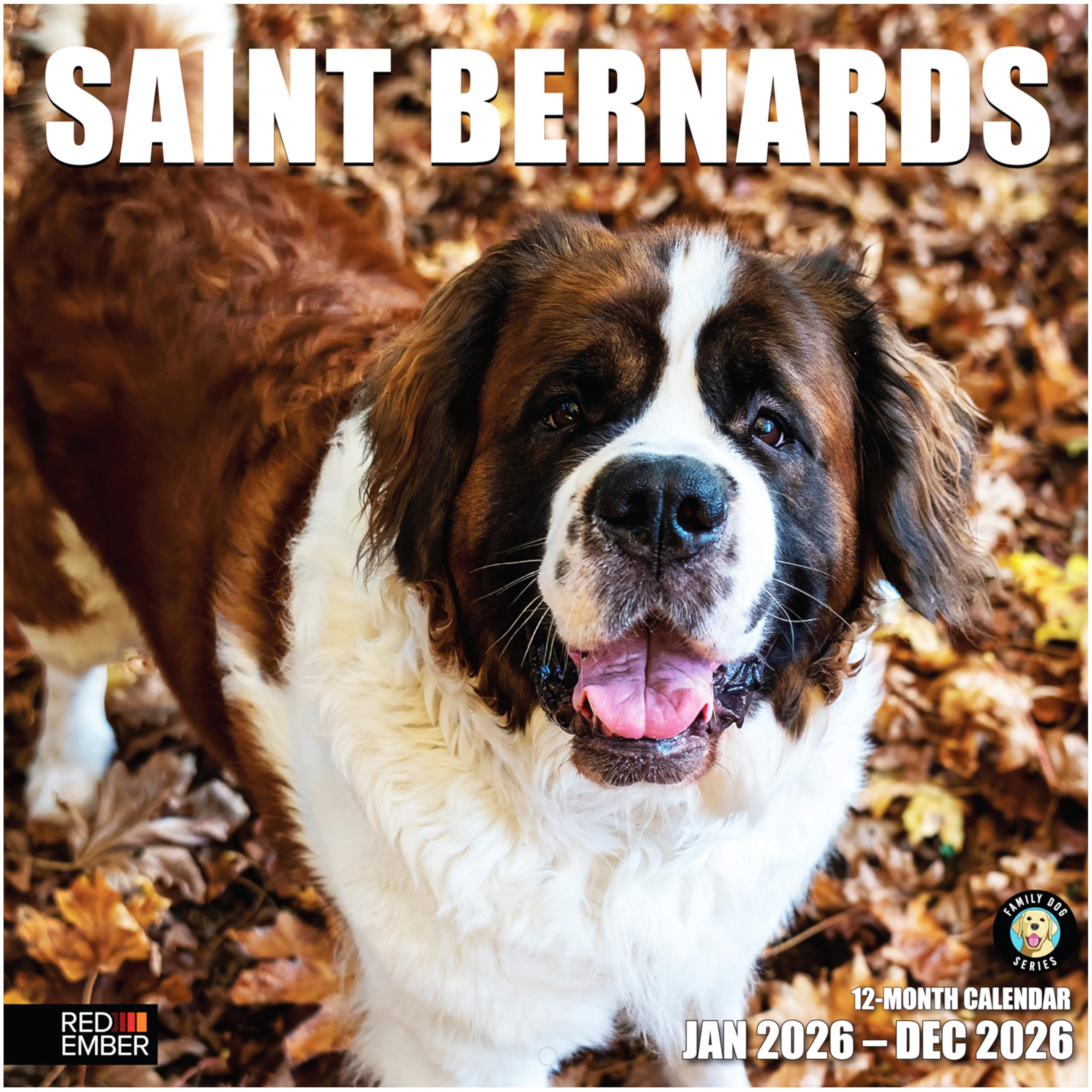RED EMBER Saint Bernards 2026 Wall Calendar 12 Month | 12" x 24" Open | Thick & Sturdy Paper | Giftable | Cute Puppy Dog Calendar 2026