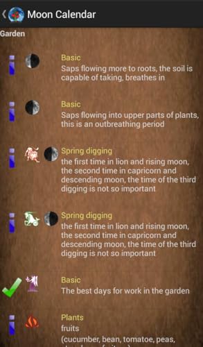 Moon Calendar