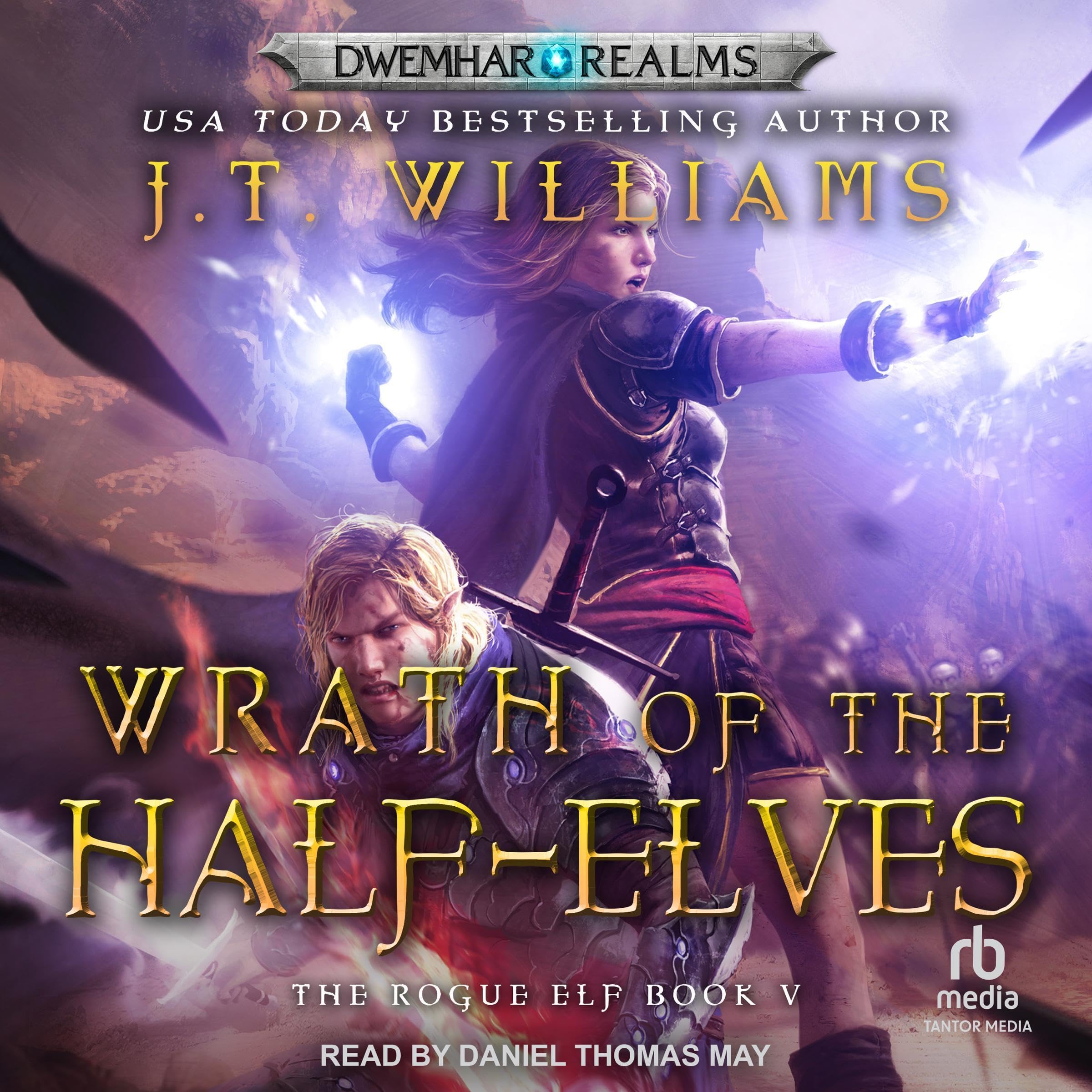 Cover art for Wrath of the Half-Elves