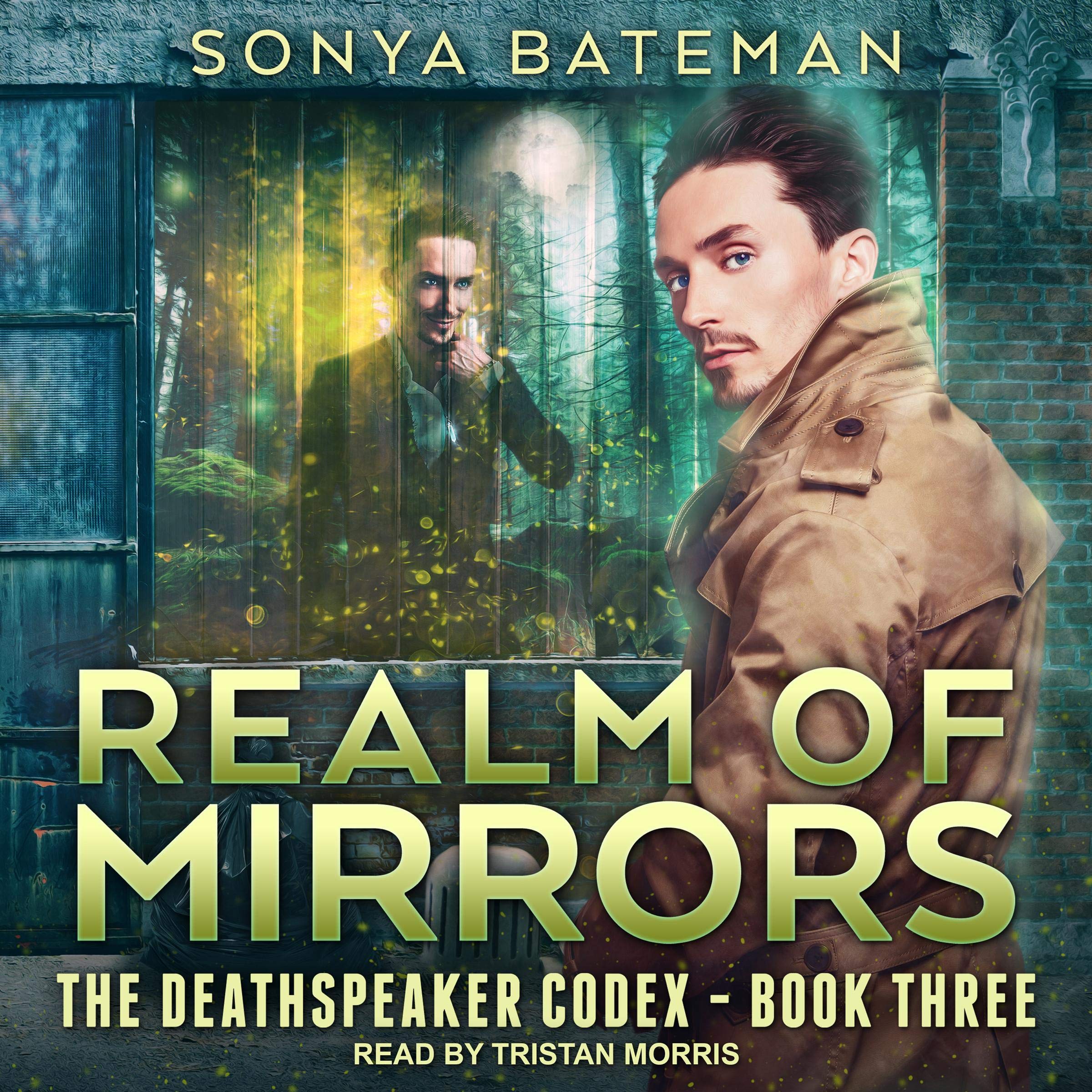 Cover art for Realm of Mirrors