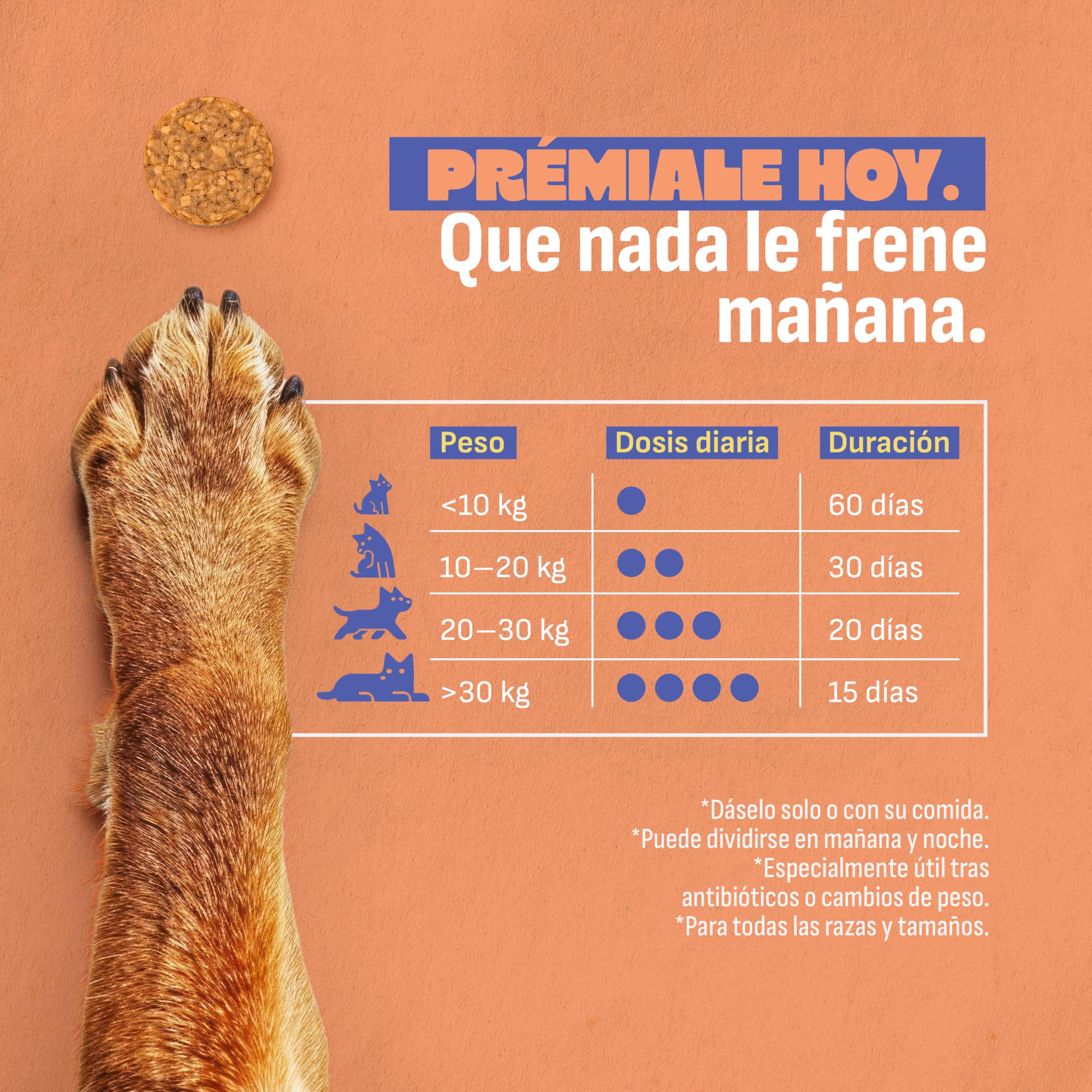 Probióticos Perros Mylo. Heces Firmes y Combate Gases y Diarrea Perros. 3 Cepas Probióticas, Prebióticos y Arándano Rojo. para Perros con Estómago Sensible. 60 Uds