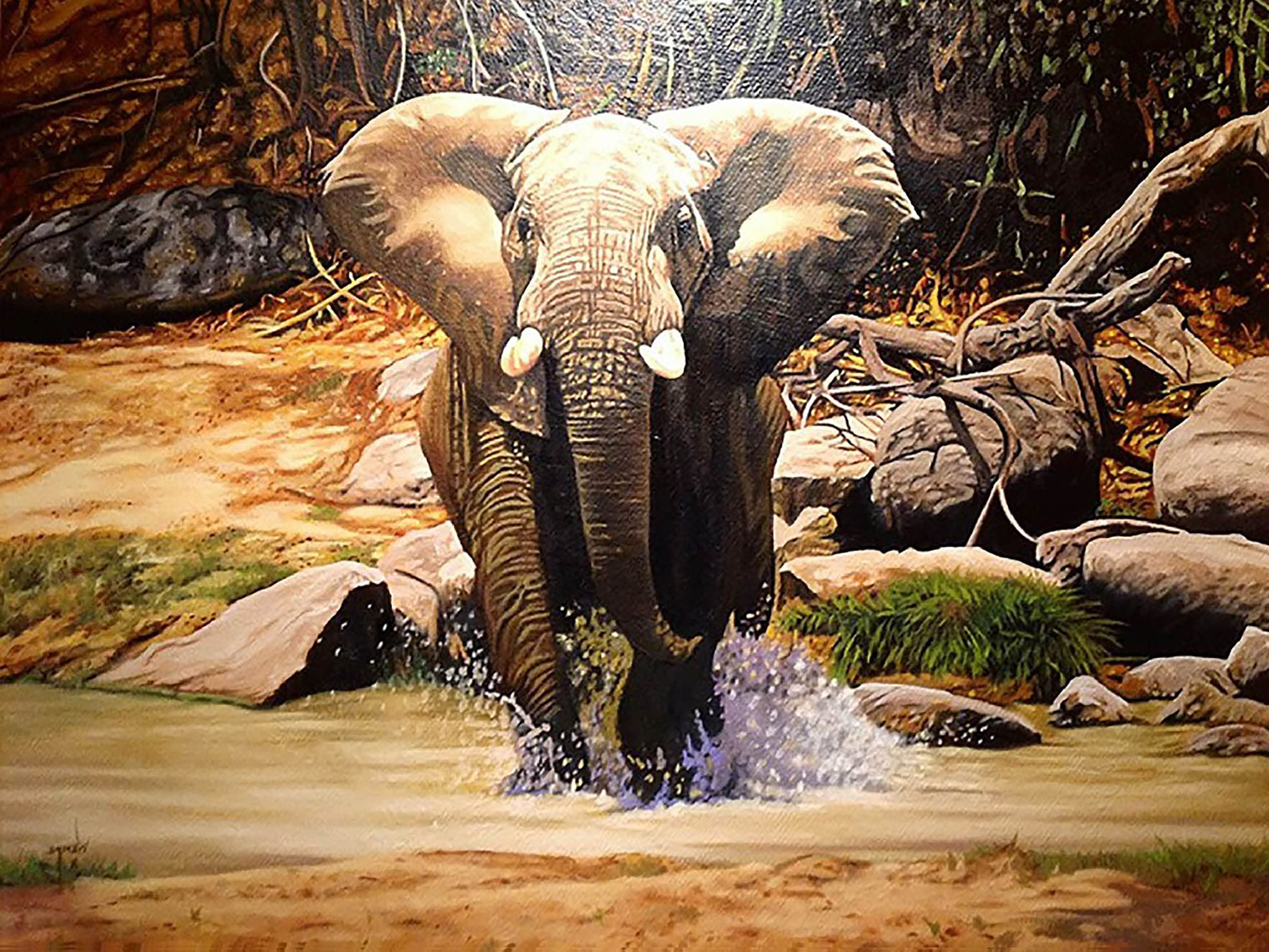 VAIIEYO 5D Diamond Painting Kits for Adults Elephant,Diamonds Art Kits Adults Animal, Paint by Numbers Oil Painting Full Drill Round Rhinestone Craft Canvas for Home Wall Decor 30x40 cm