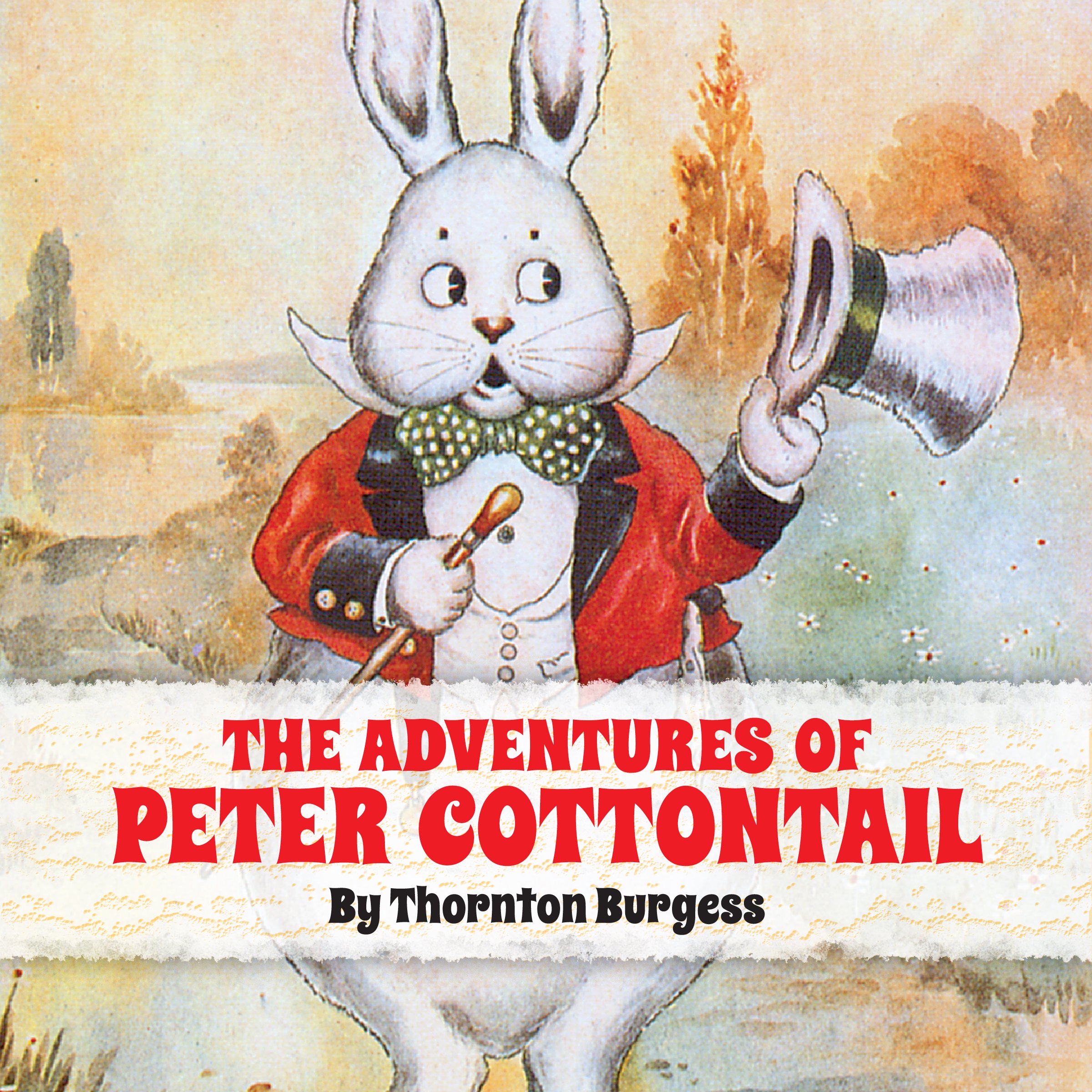 Cover art for The Adventures of Peter Cottontail