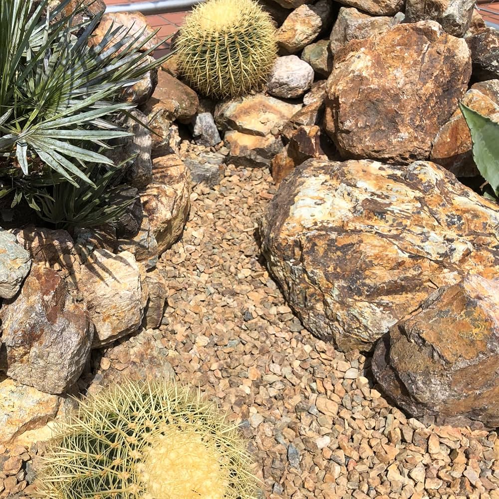 Amazon.co.jp: TAIKOH 岐阜チャート石 200-300mm 国産 みかも石