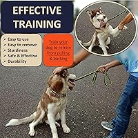 Vista 2 de Collar de entrenamiento para perros de liberación rápida, ajustable, de acero inoxidable, para perros pequeños, medianos y grandes