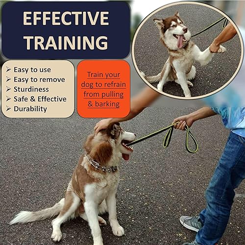 Miniatura 2 de Collar de púas para perros, collar ajustable con hebilla metálica de liberación rápida para perros, collar de acero inoxidable (Mcircunferencia del