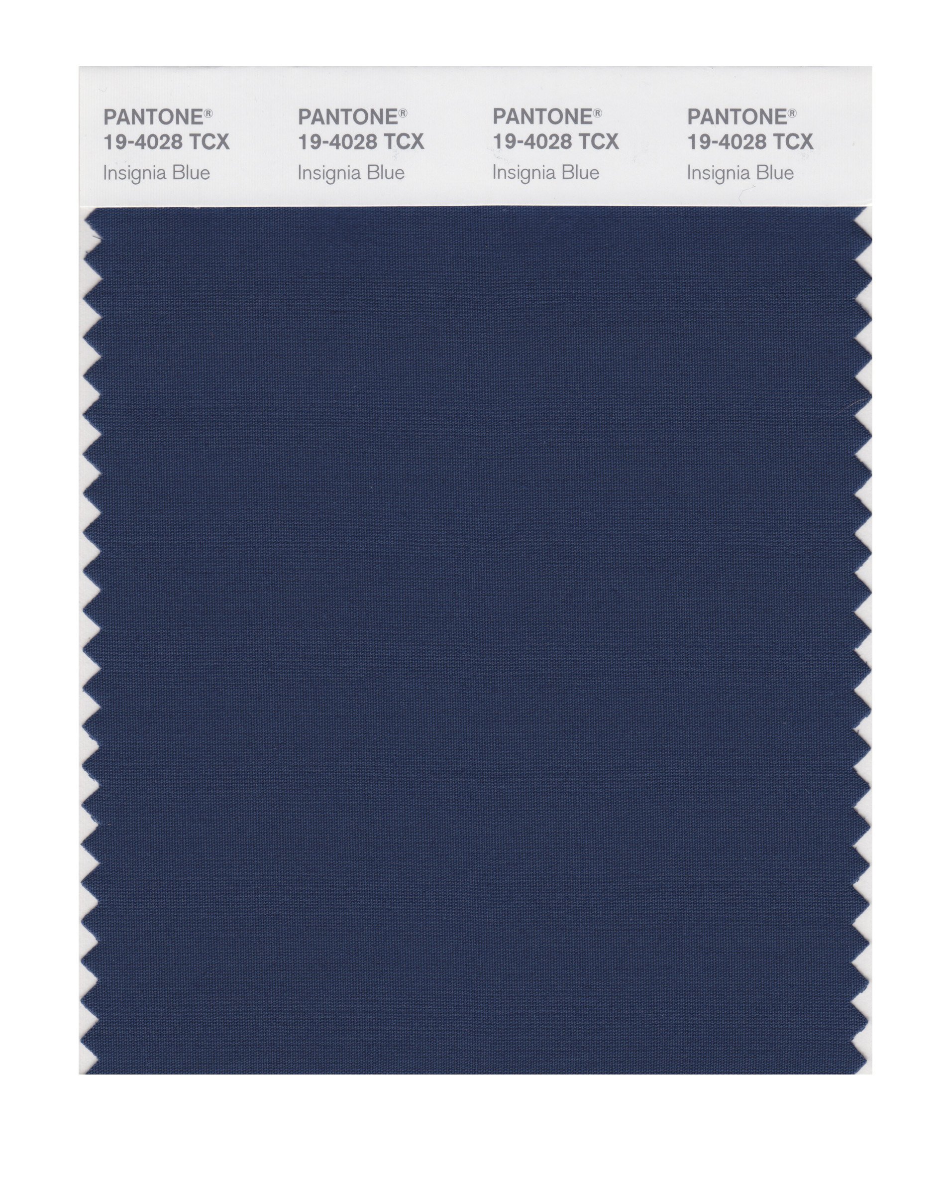 ☘MONOTONE☘ PANTONE Smart 19-4028X Color Swatch Card, Insignia Blue - House