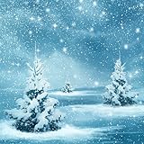 Winter Wallpapers