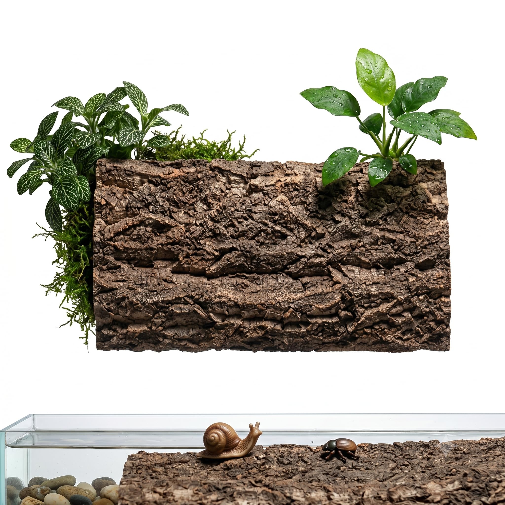 JOINPAYA Natural Cork Backdrop 60x30cm, Real Tree Bark for Reptile Terrarium Vivarium Decor, Decorative Tree Bark Wall Panel for Aquarium Scaping and Indoor Garden Plant