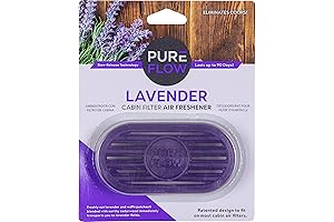 AC Fragrance Filter with Enhanced Odor Eliminating Power