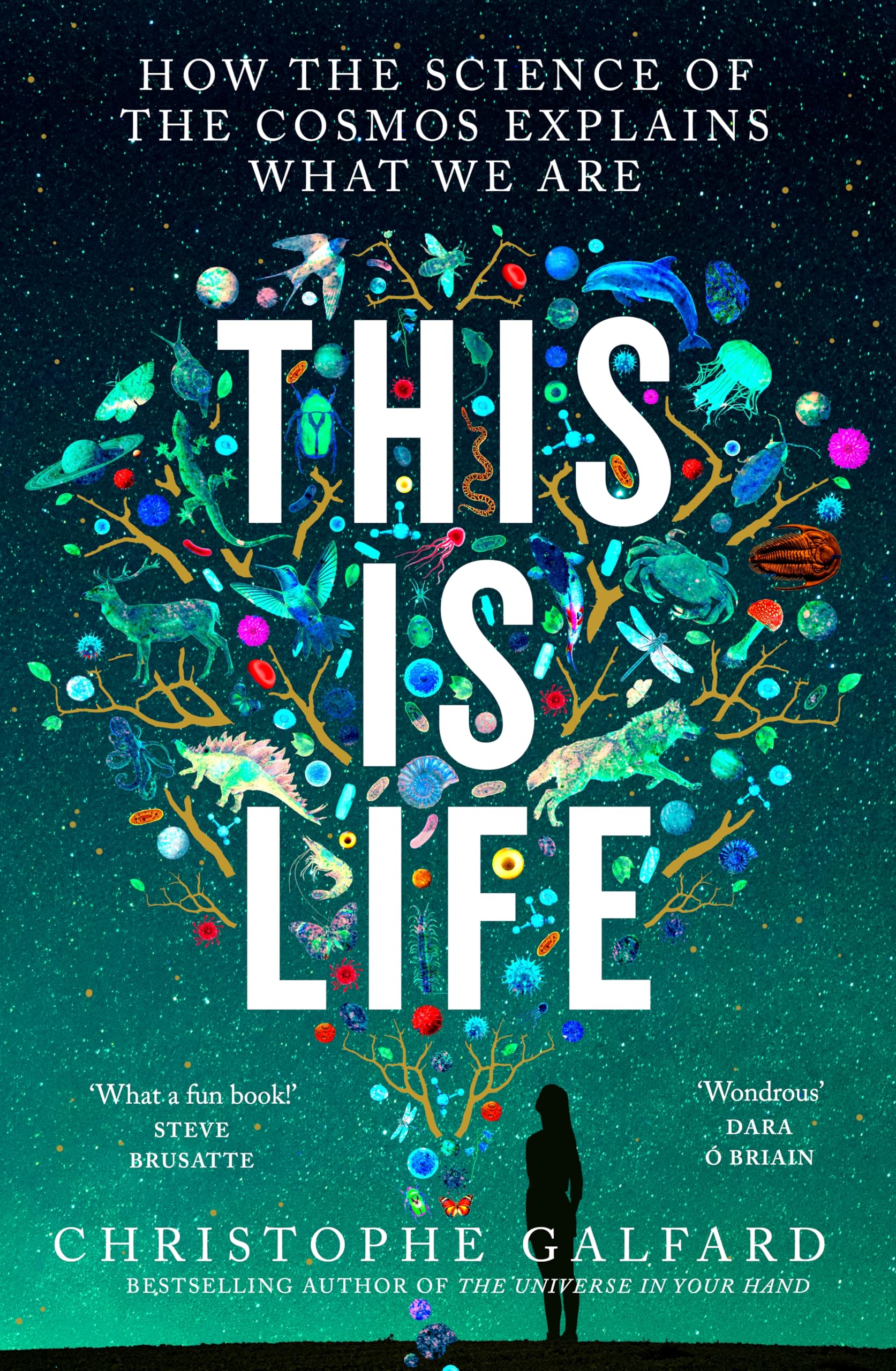 This Is Life by Christophe Galfard, Stuart Wilson - 9781529032031