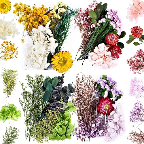 Nuanchu 4 Bags Natural Dried Flowers Leaves Set, Mixed Dried Hydrangeas, Daisies, Natural Flowers Colorful Real Dry Flowers for DIY Candle Resin