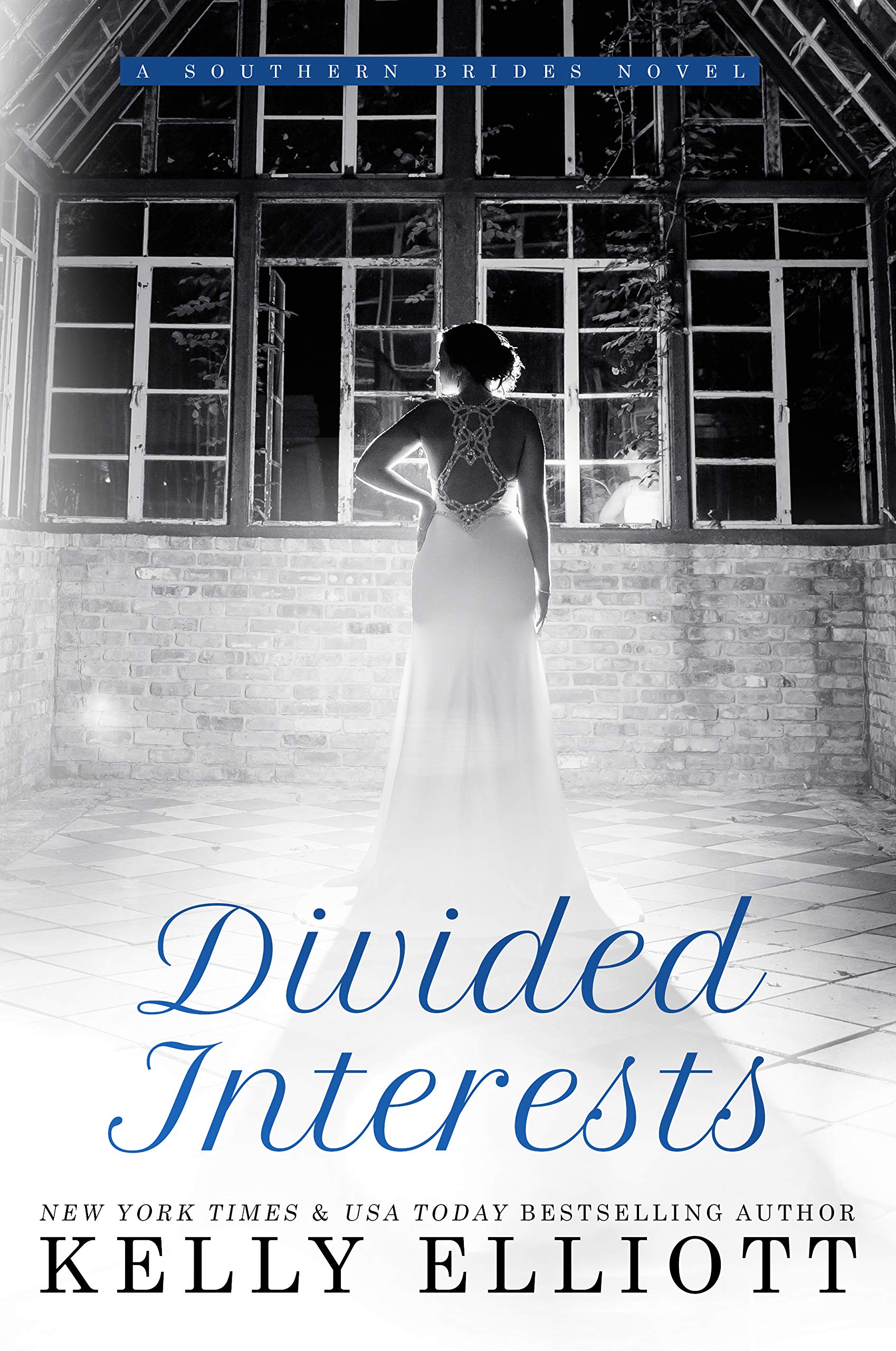 Buy Divided Interests: 3 (Southern Bride) — BookShops.in