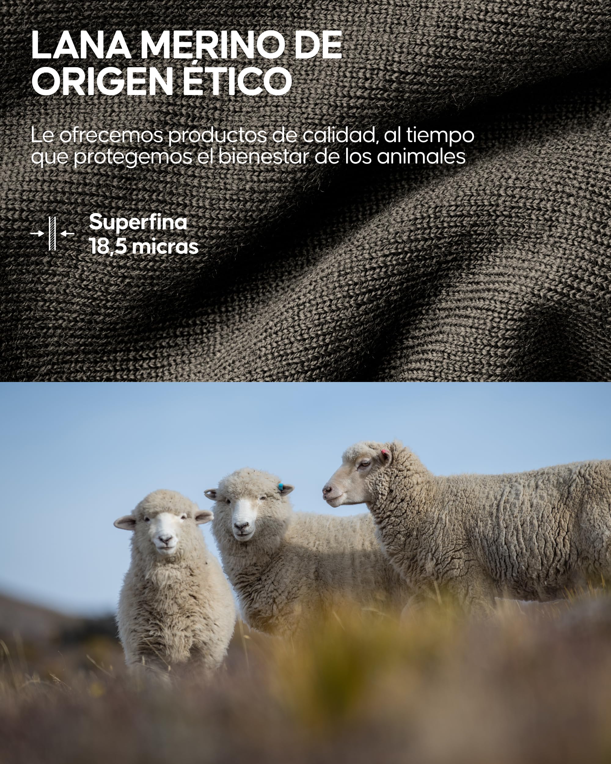 DANISH ENDURANCE Braga Cuello Hombre y Mujer de Lana Merino, Unisex, Deporte - Braga Cuello Mujer y Hombre, Bragas, Bufanda