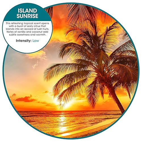 Miniatura 9 de Fresh Products ourfresh - Dispensador de ambientador 2.0, diseño elegante y actualizado, reemplaza el aerosol medido, potente fragancia, activado