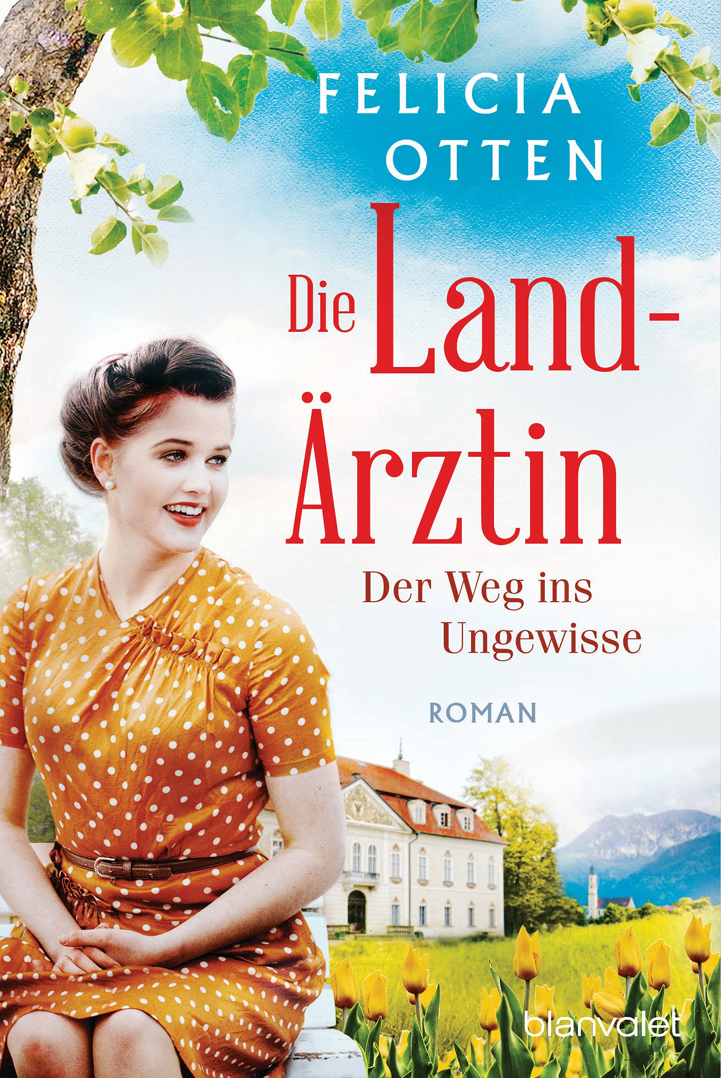 Die Landarztin - Der Weg ins Ungewisse: Roman