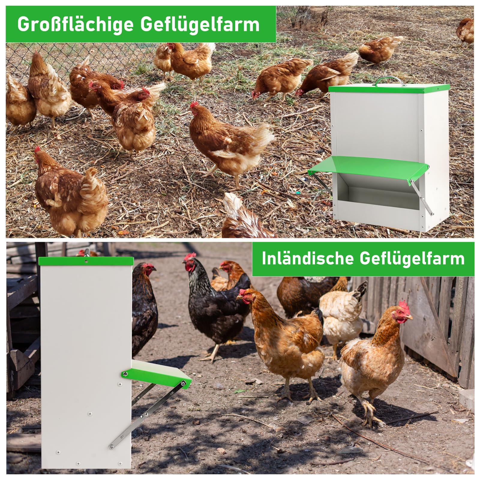 11 kg Automatischer Futterautomat Hühner Wandmontierter Geflügelfutterautomat, kein Abfallgeflügelfutterautomat, Hochbelastbarer Regenfester Futterautomat für Hühner, Enten, Gänseputen