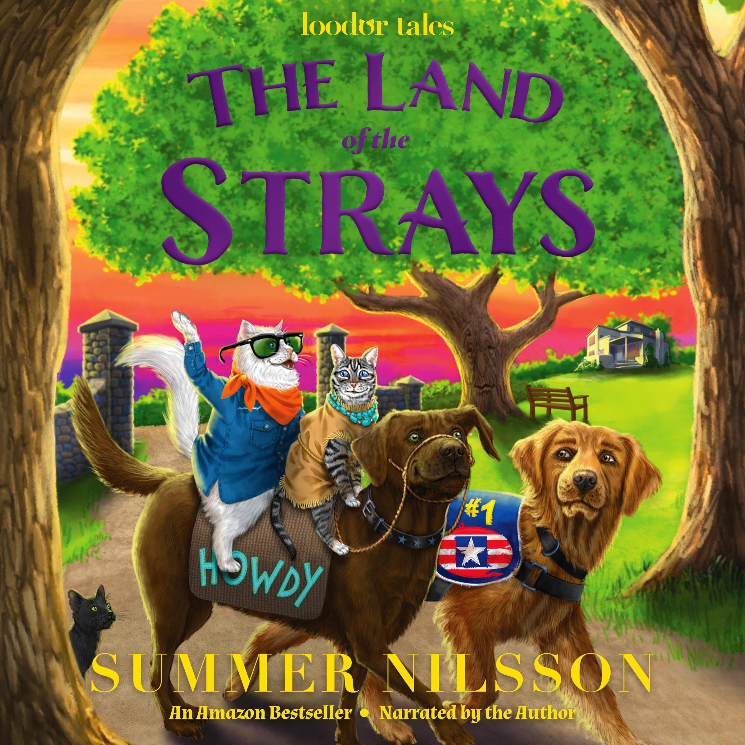 Cover art for The Land of the Strays
