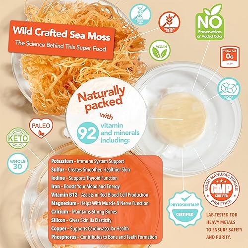 Miniatura 2 de EverSmith Organics Musgo marino irlandés silvestre de Santa Lucía Hace gel de 160 onzas Superalimento dorado crudo Musgo marino seco