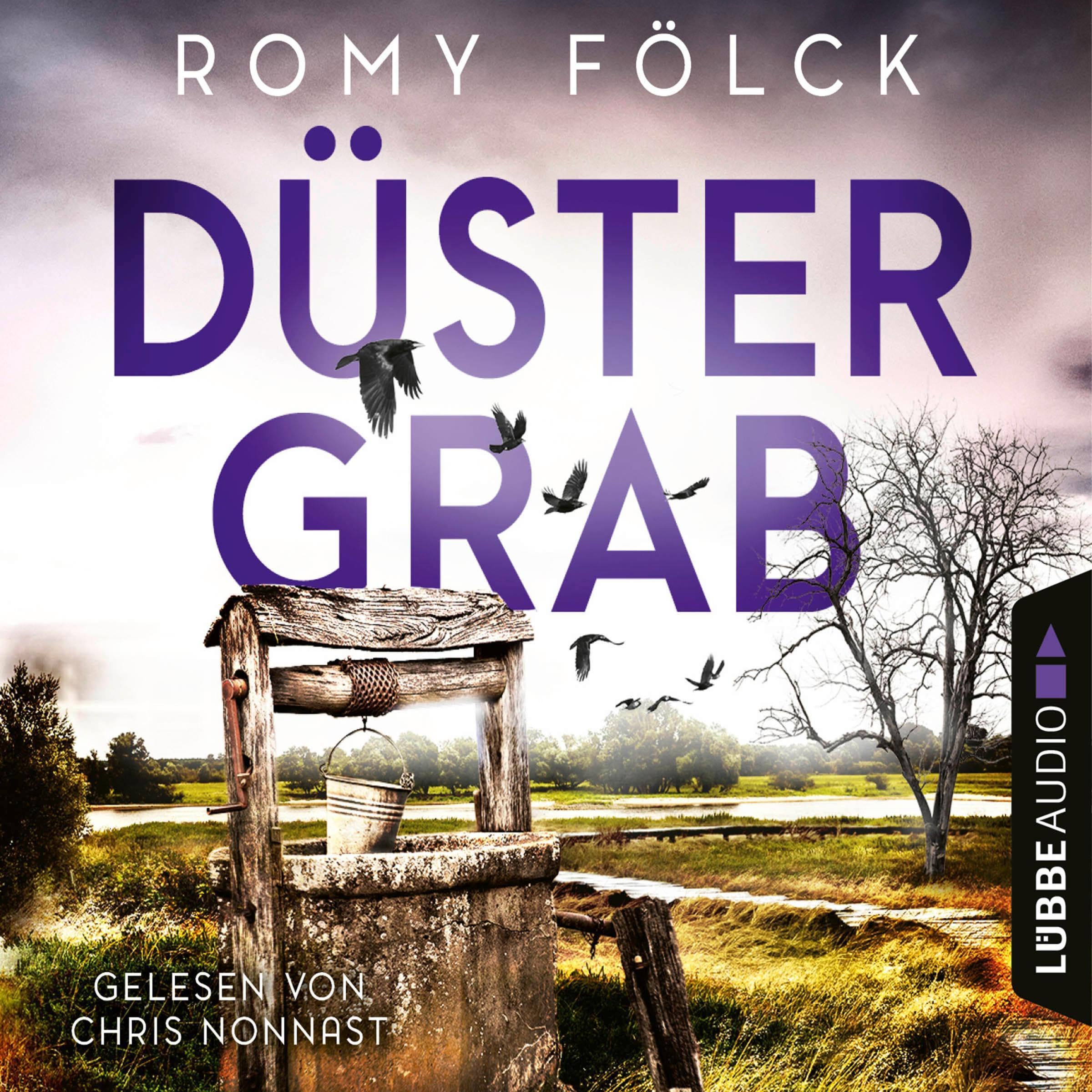 Cover art for Düstergrab