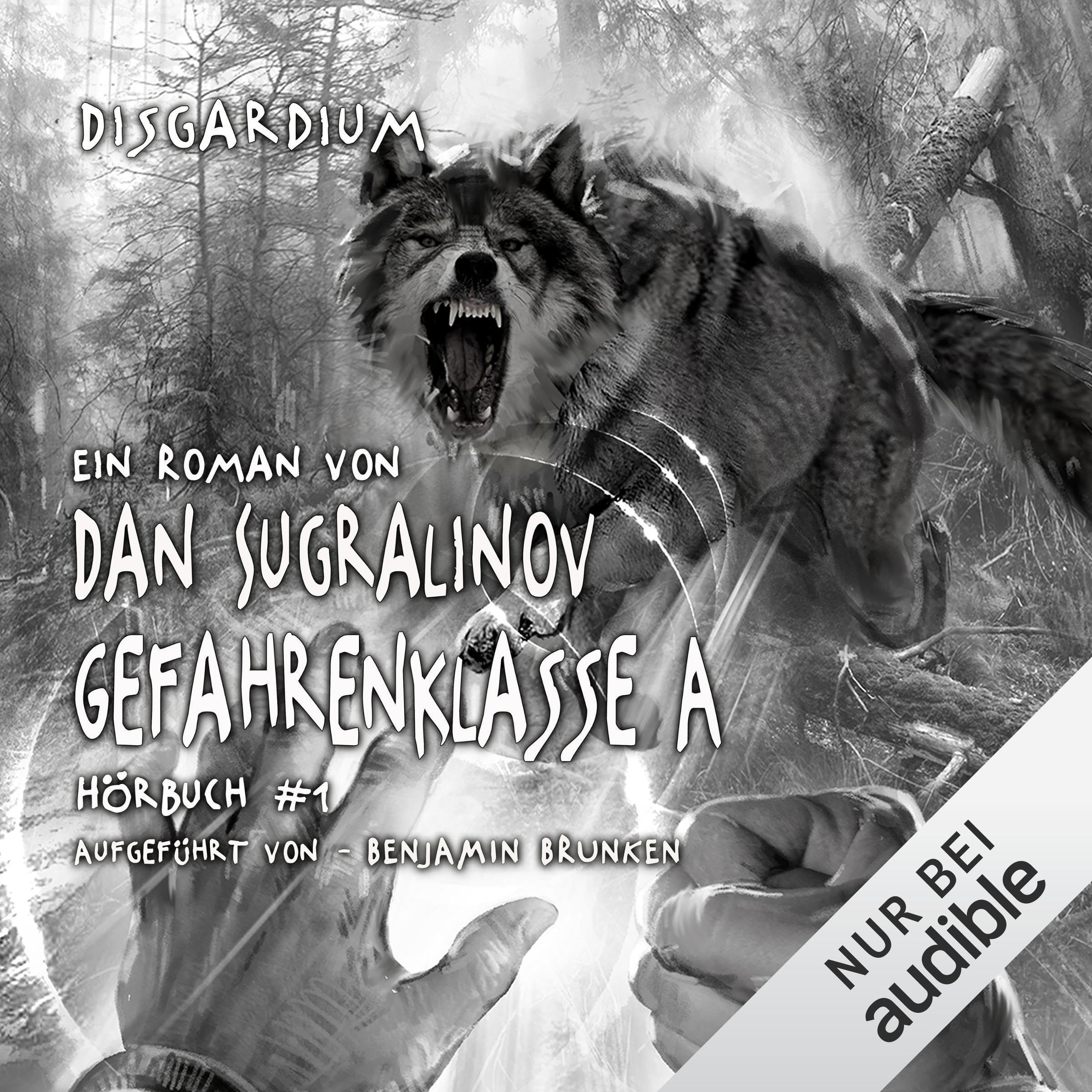 Gefahrenklasse A. LitRPG-Serie: Disgardium 1