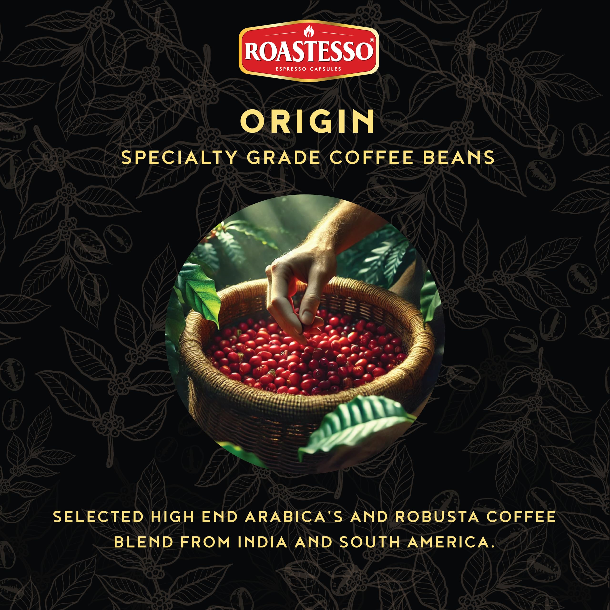 Roastesso - Cápsulas de café espresso (Hioncaff, 10 unidades (paquete de 8))