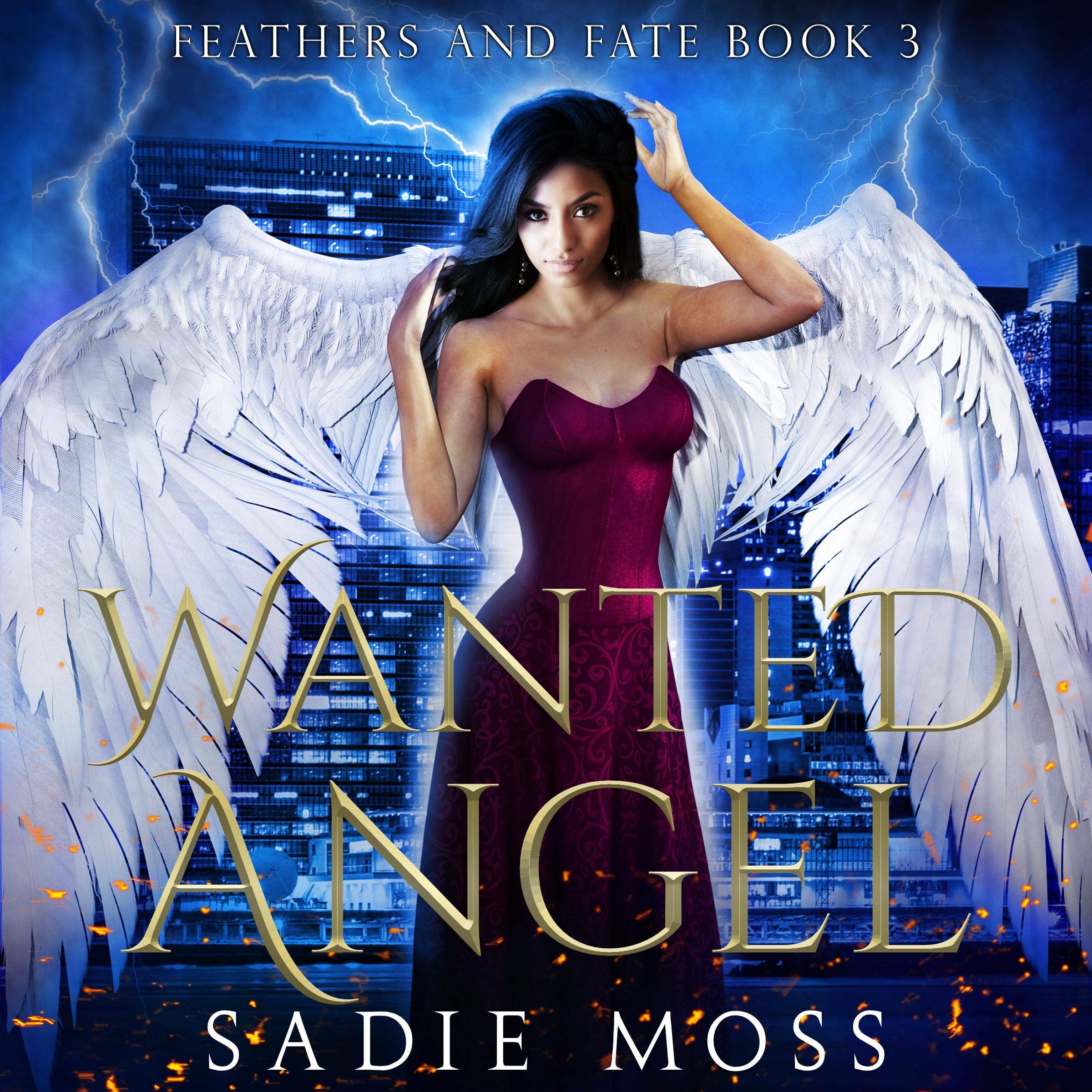 Wanted Angel (A Reverse Harem Paranormal Romance)