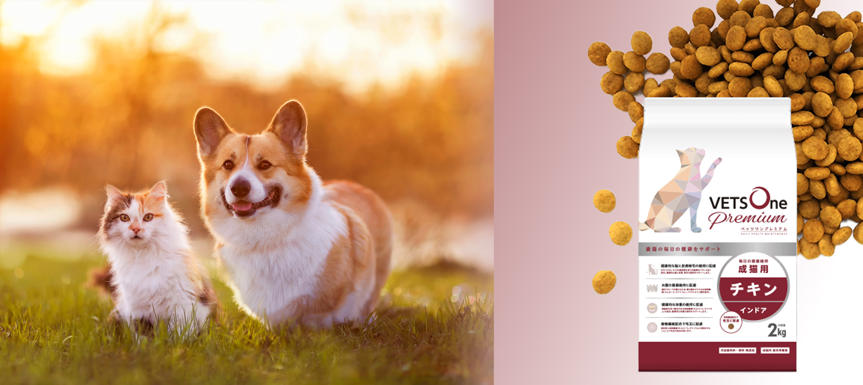 Amazon | ベッツワンプレミアム 毎日の健康維持 成猫用 インドア