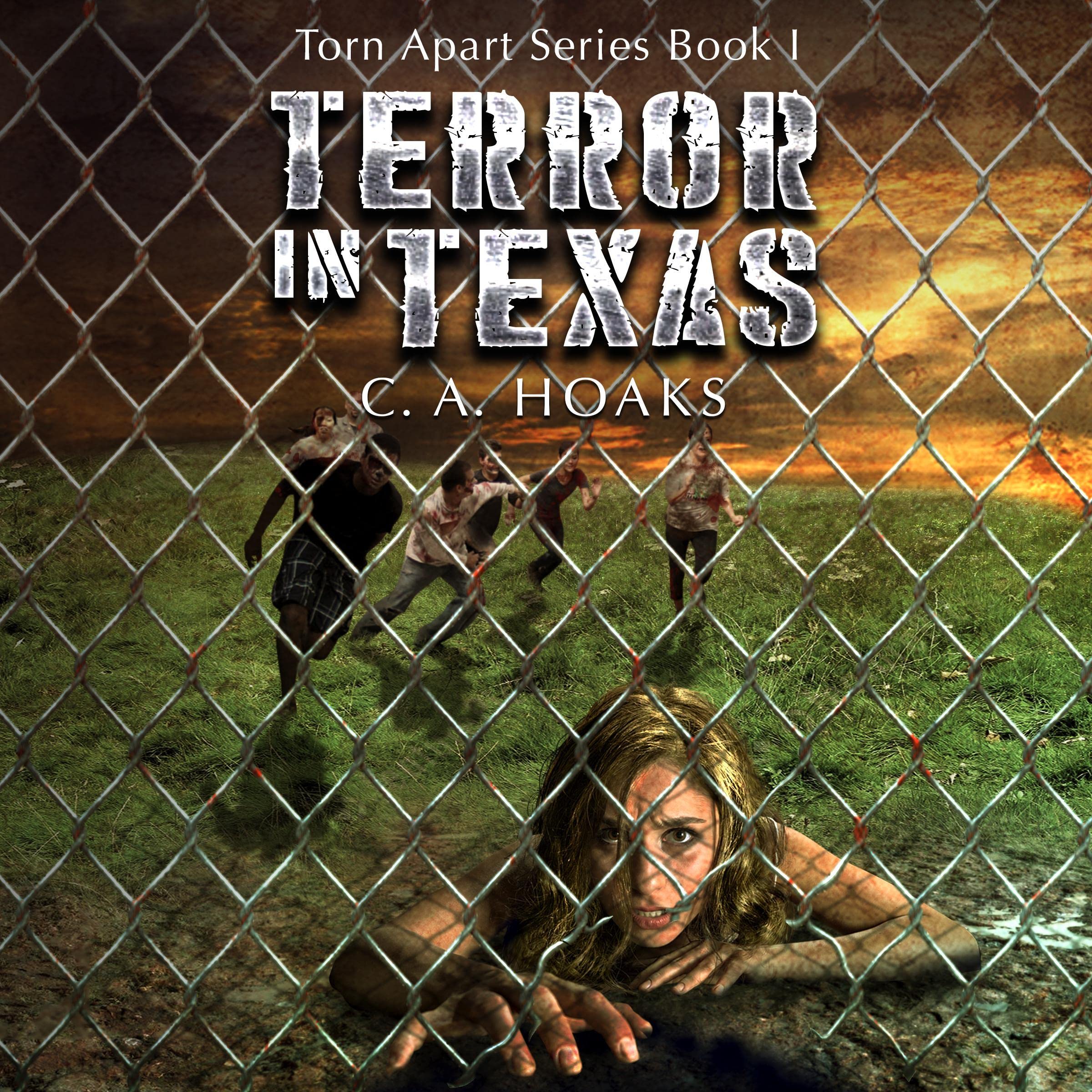 Cover art for Terror in Texas