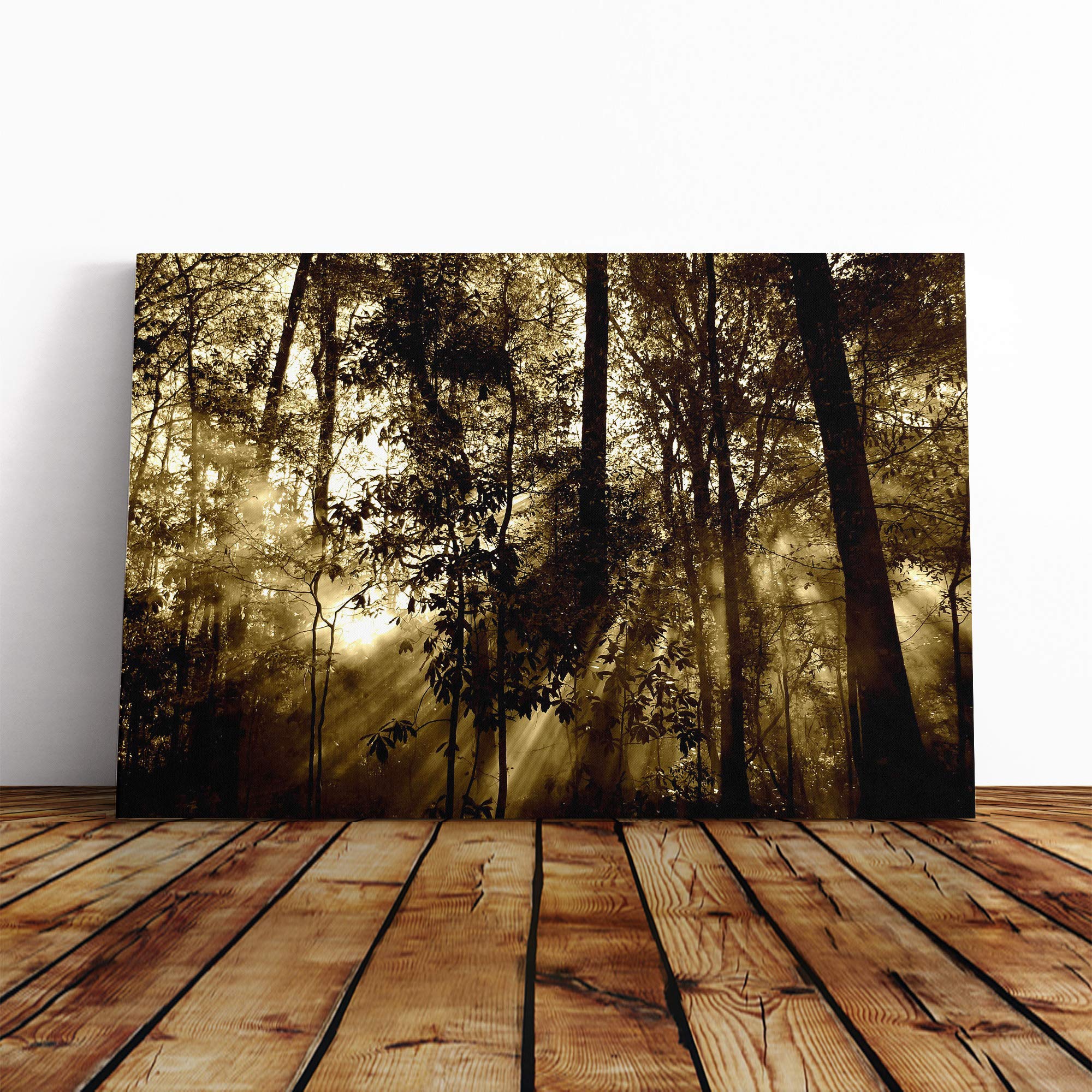 Sunlight Forest Woodland Canvas Print | Gallery Wrapped 30mm Frame Wall Art | 30x20 inches | Ready to Hang | Modern Landscape Picture | Living Room Bedroom Lounge Office