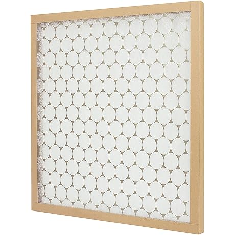 PrecisionAire Flanders 12-Count Pack