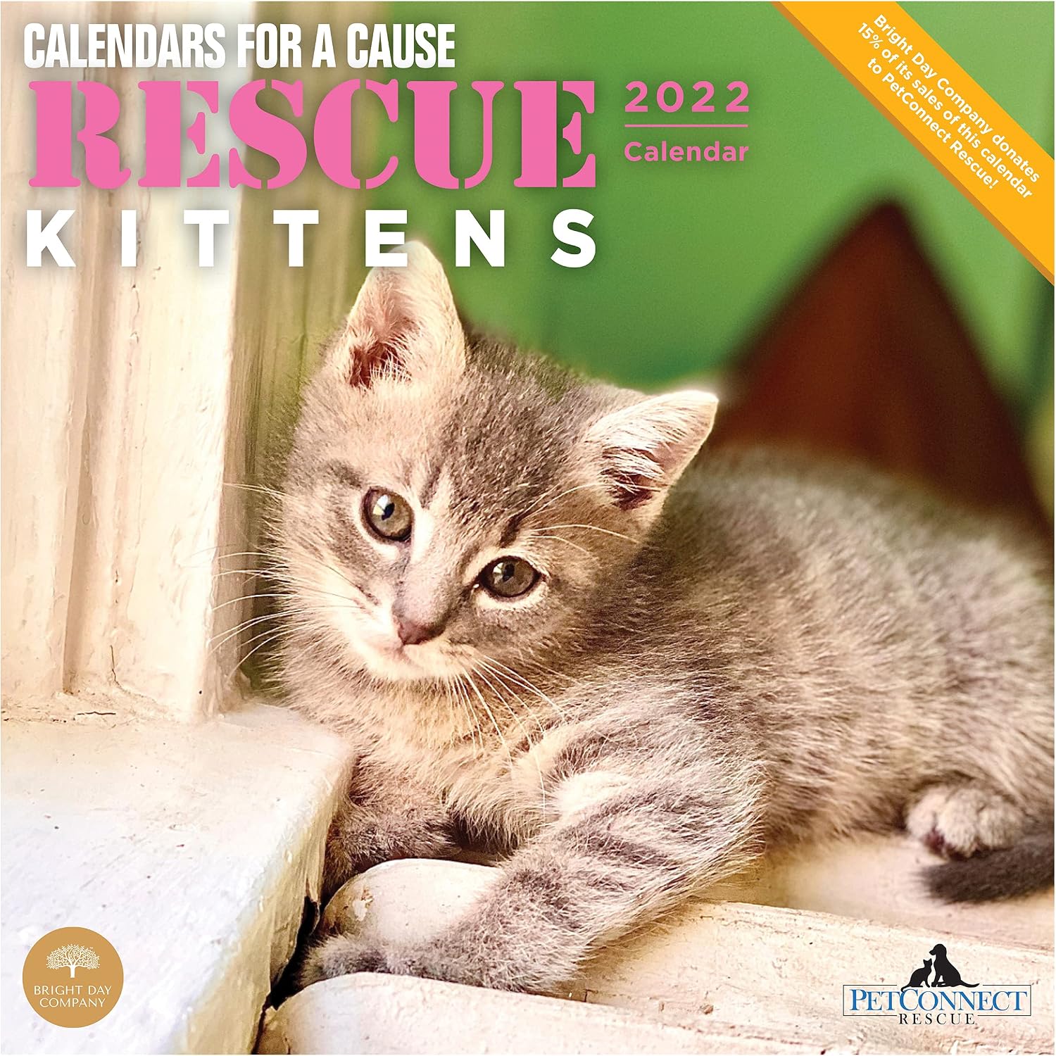 2022 Rescue Kittens Wall Calendar by Bright Day, 12 x 12 Inch, Cute ...