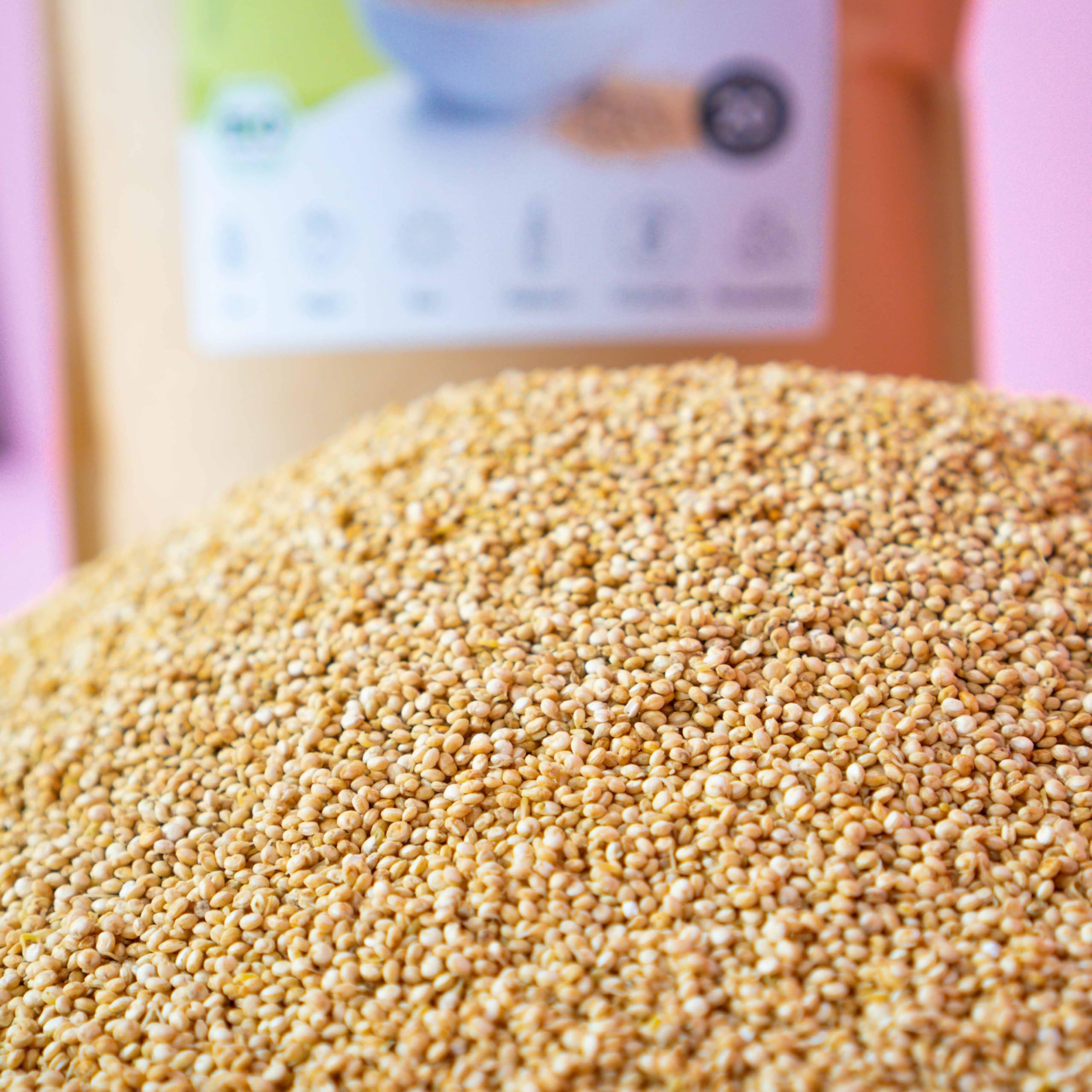 AHO Sprossen Quinoa - Gekeimter Bio Quinoa aus Europa 850 g