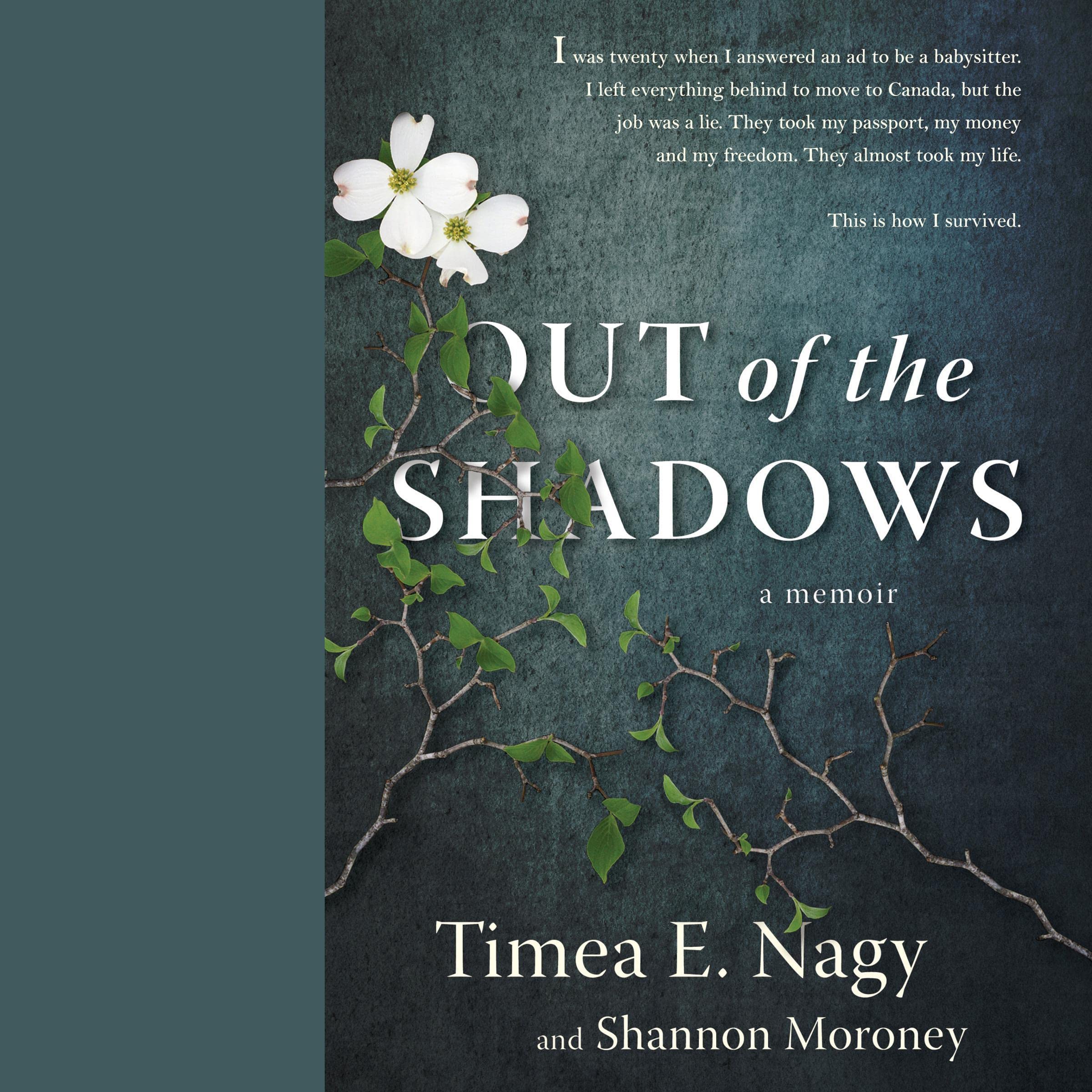 Cover art for Out of the Shadows