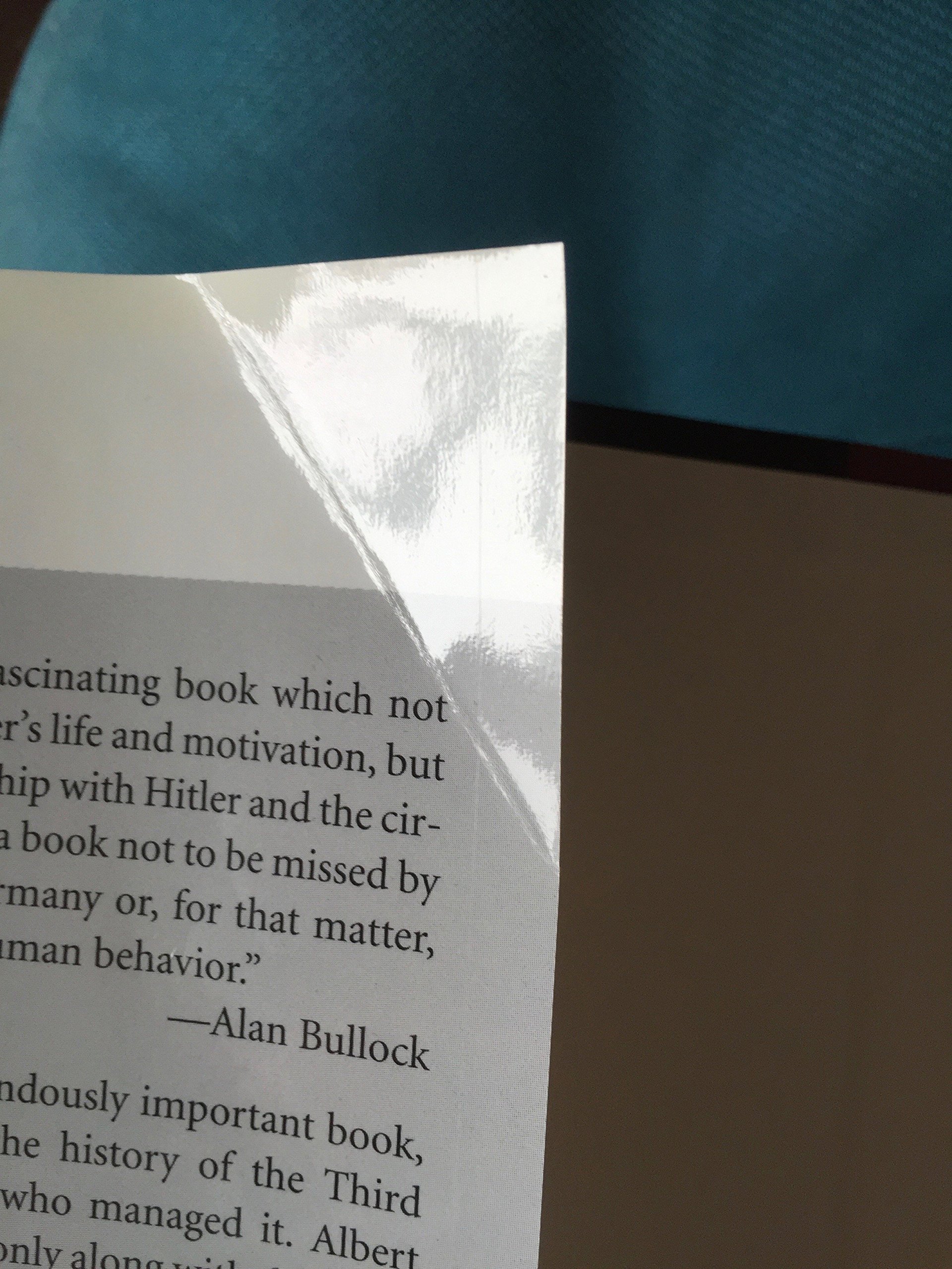 Albert Speer: His Battle With Truth - Image 2