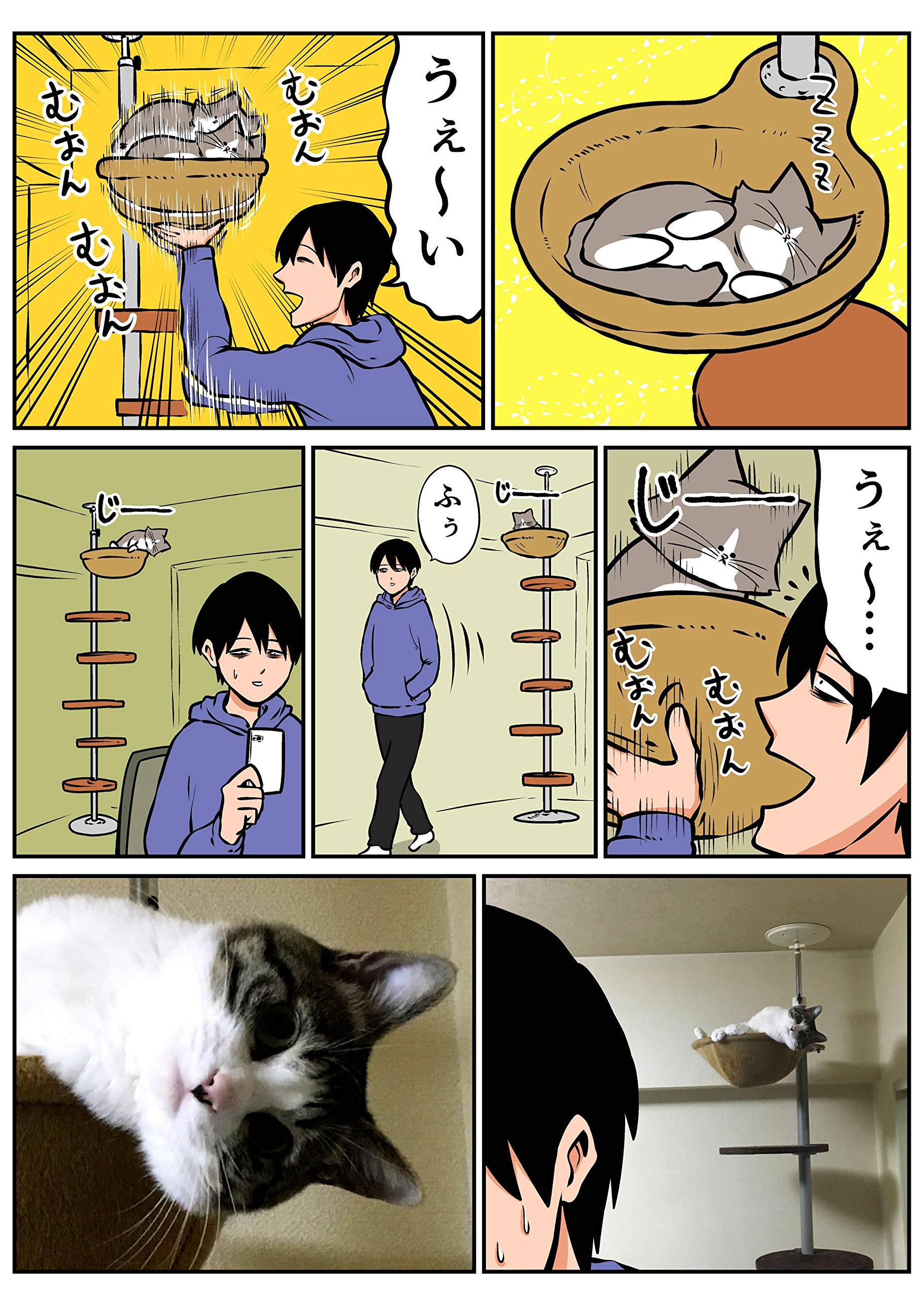 鴻池剛と猫のぽんた ニャアアアン 3 鴻池 剛 配送料無料