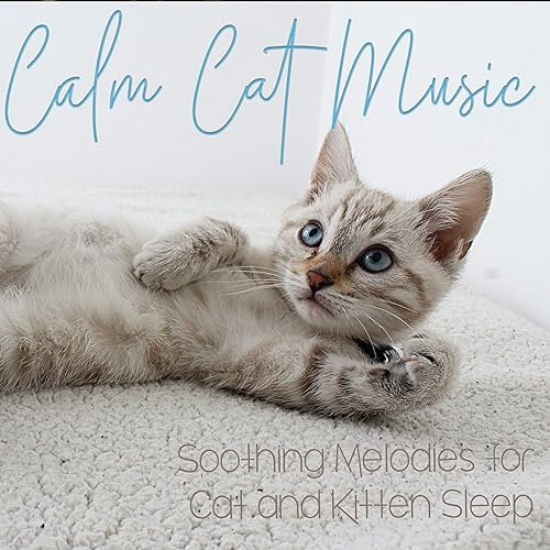 cuddler dog bed medium